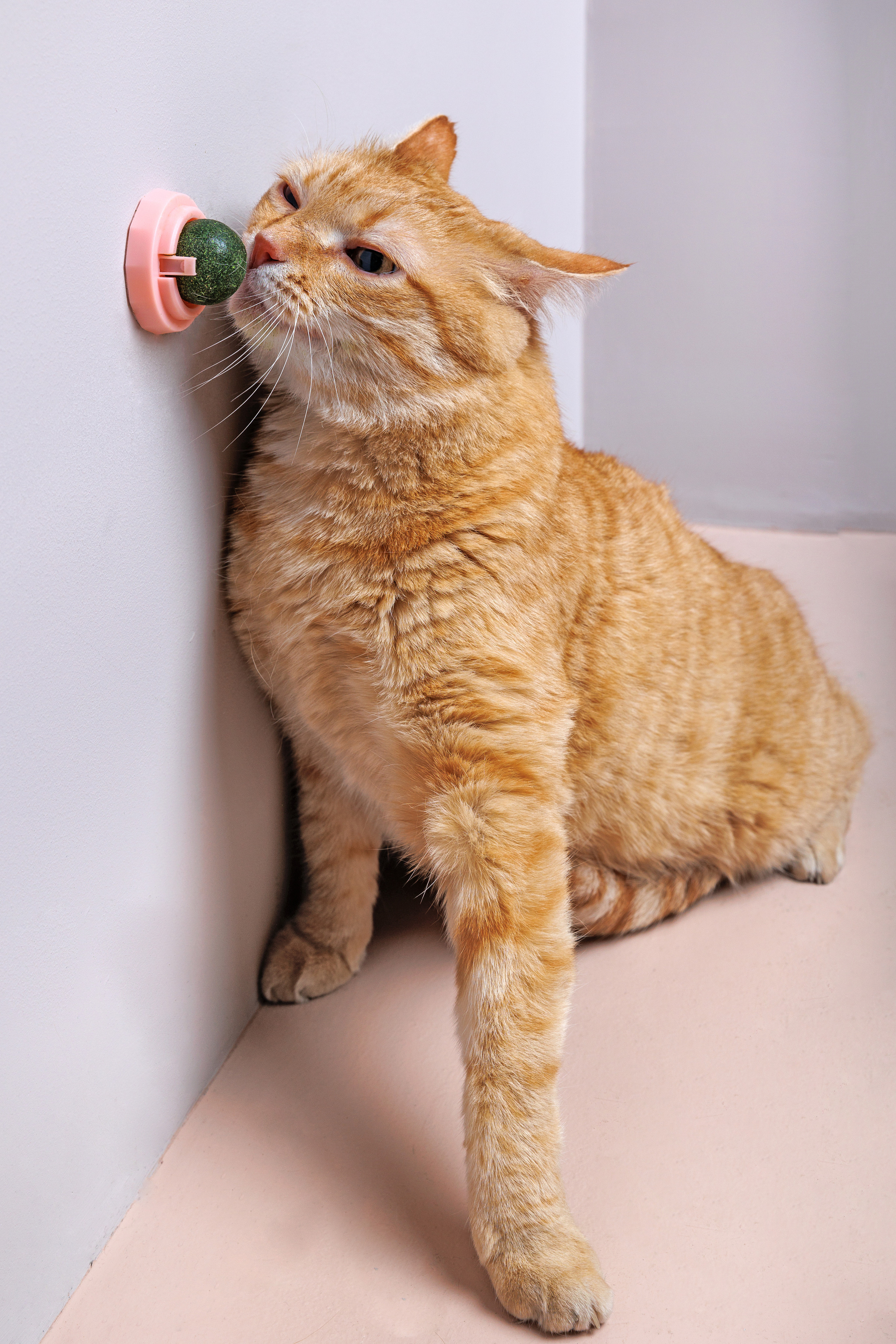 Фотограф для маркетплейсов в Москве. Геннадий Степанов —фотограф в Москве