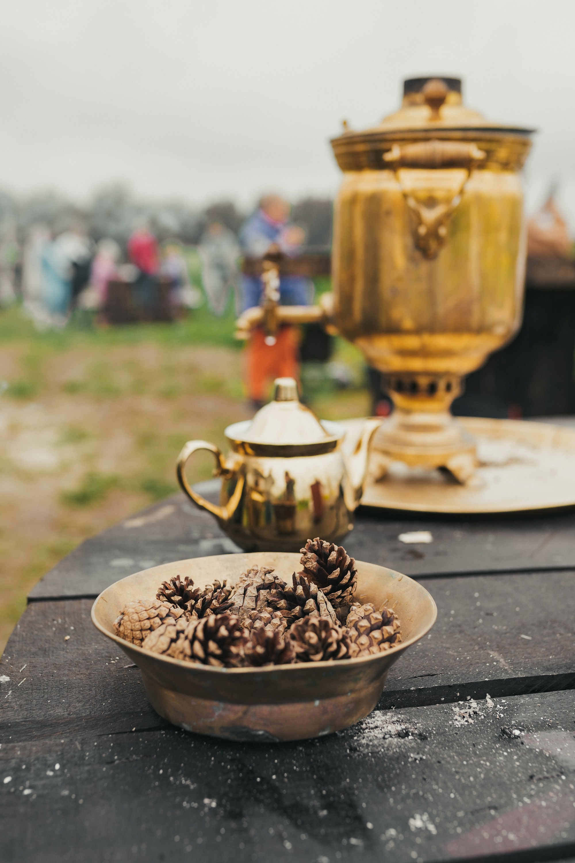 «Малиновое поле», открытие сезона. Фотограф Ольга Молева