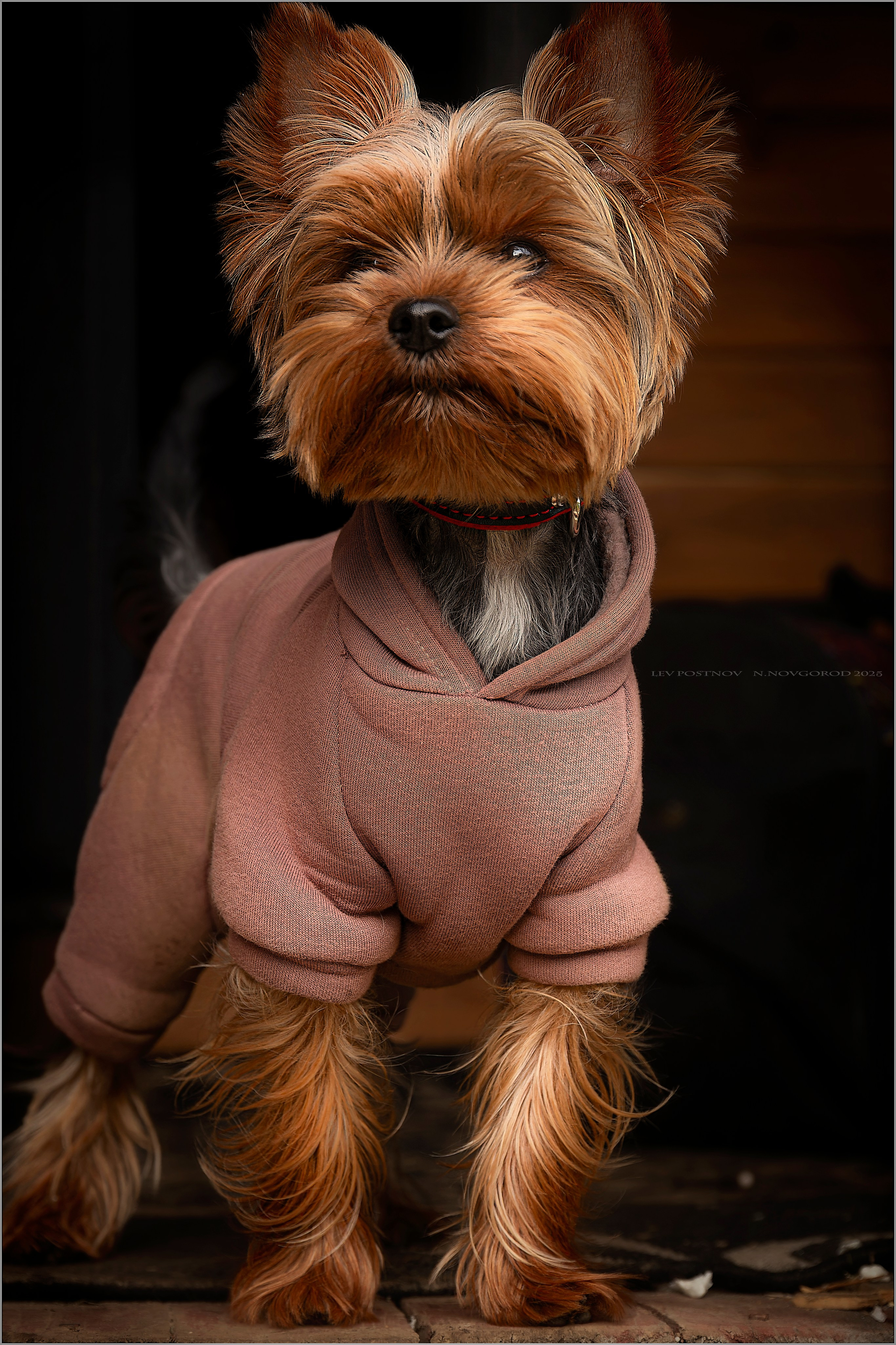 Тофик. Лев Постнов.Фотограф. Нижний Новгород