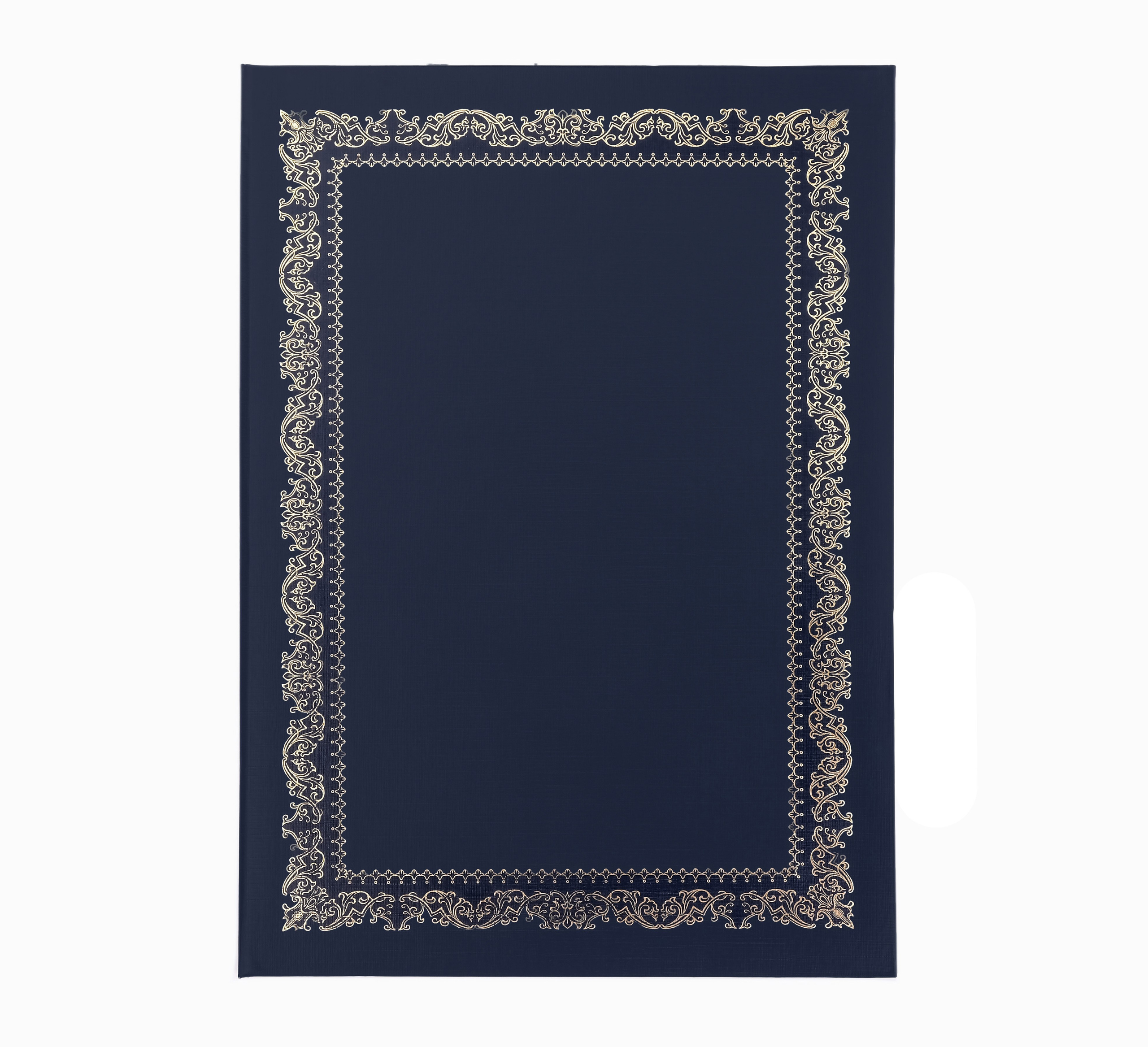 Папка синяя