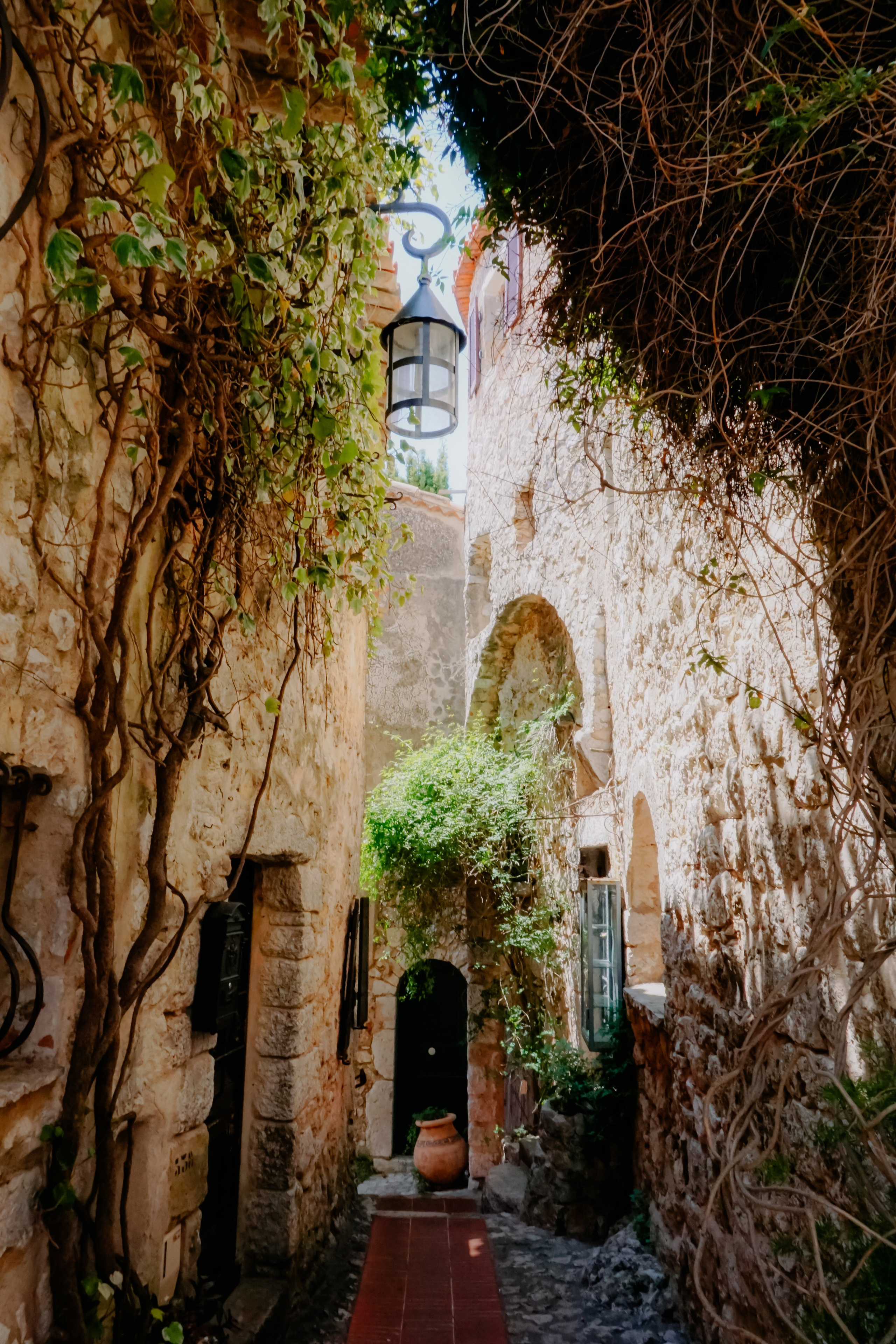 Ницца стрит. Iraogo