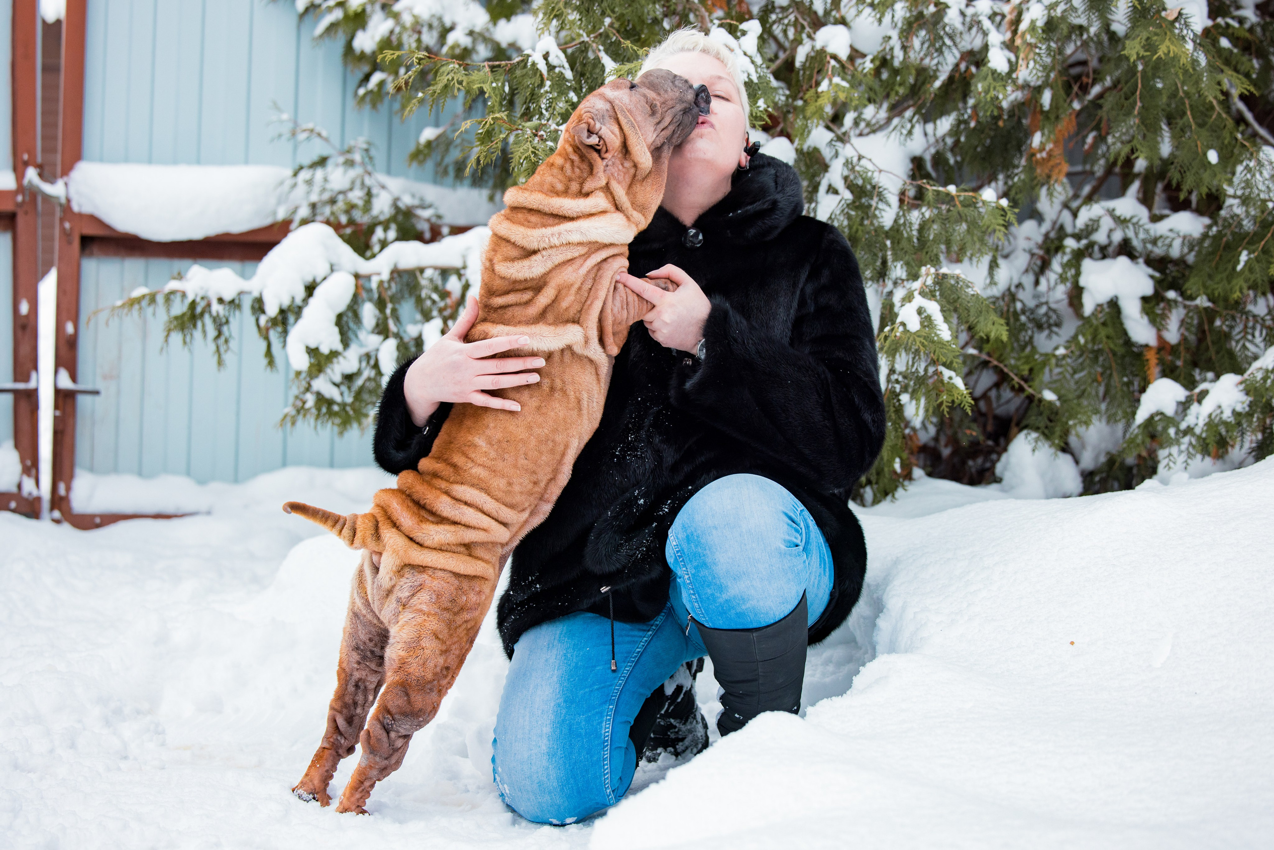 В гостях у шарпеев 16.01.2024. Фотограф-анималист Юлия Германика