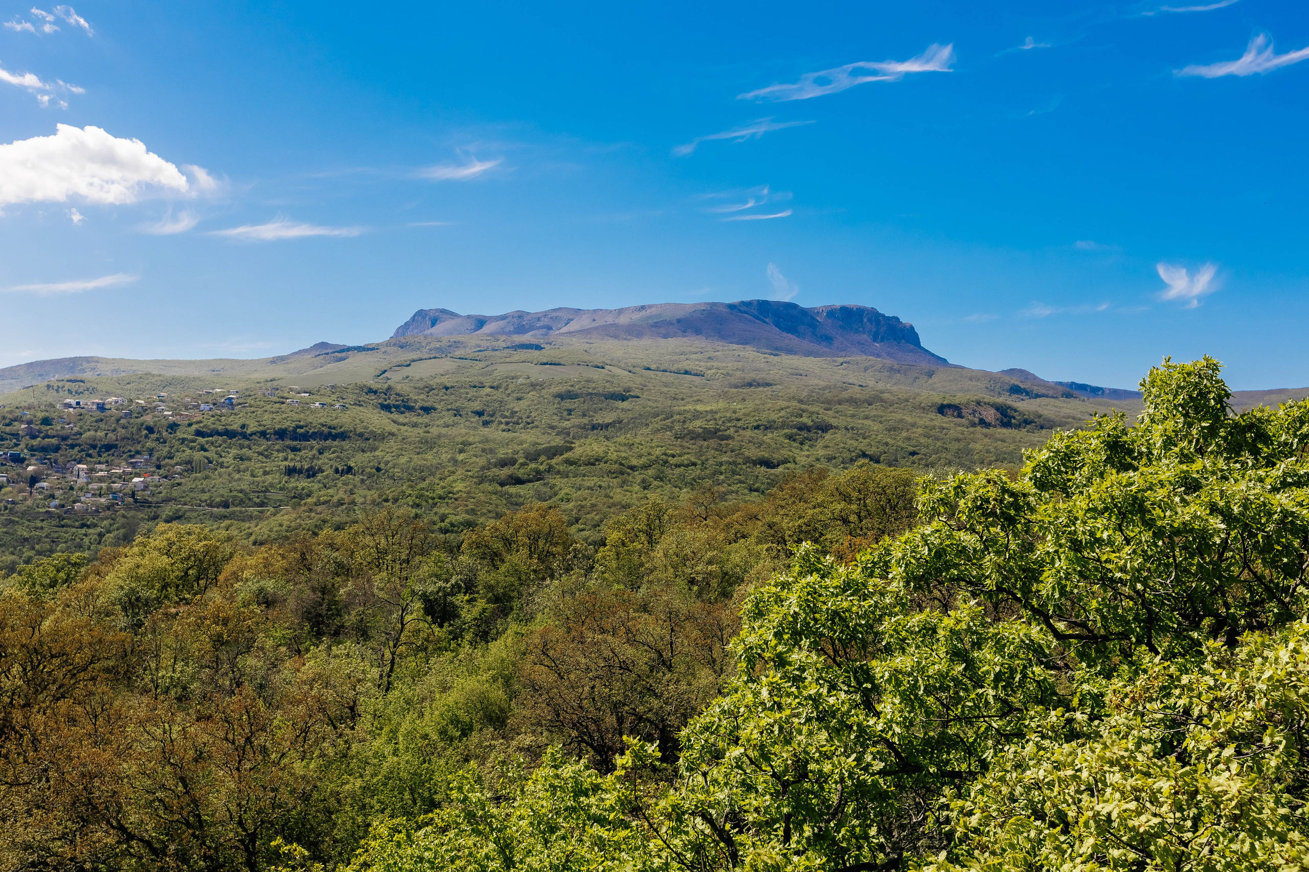 РЭС 2025 Крым. Фотограф Краснодар Марго Хелбен
