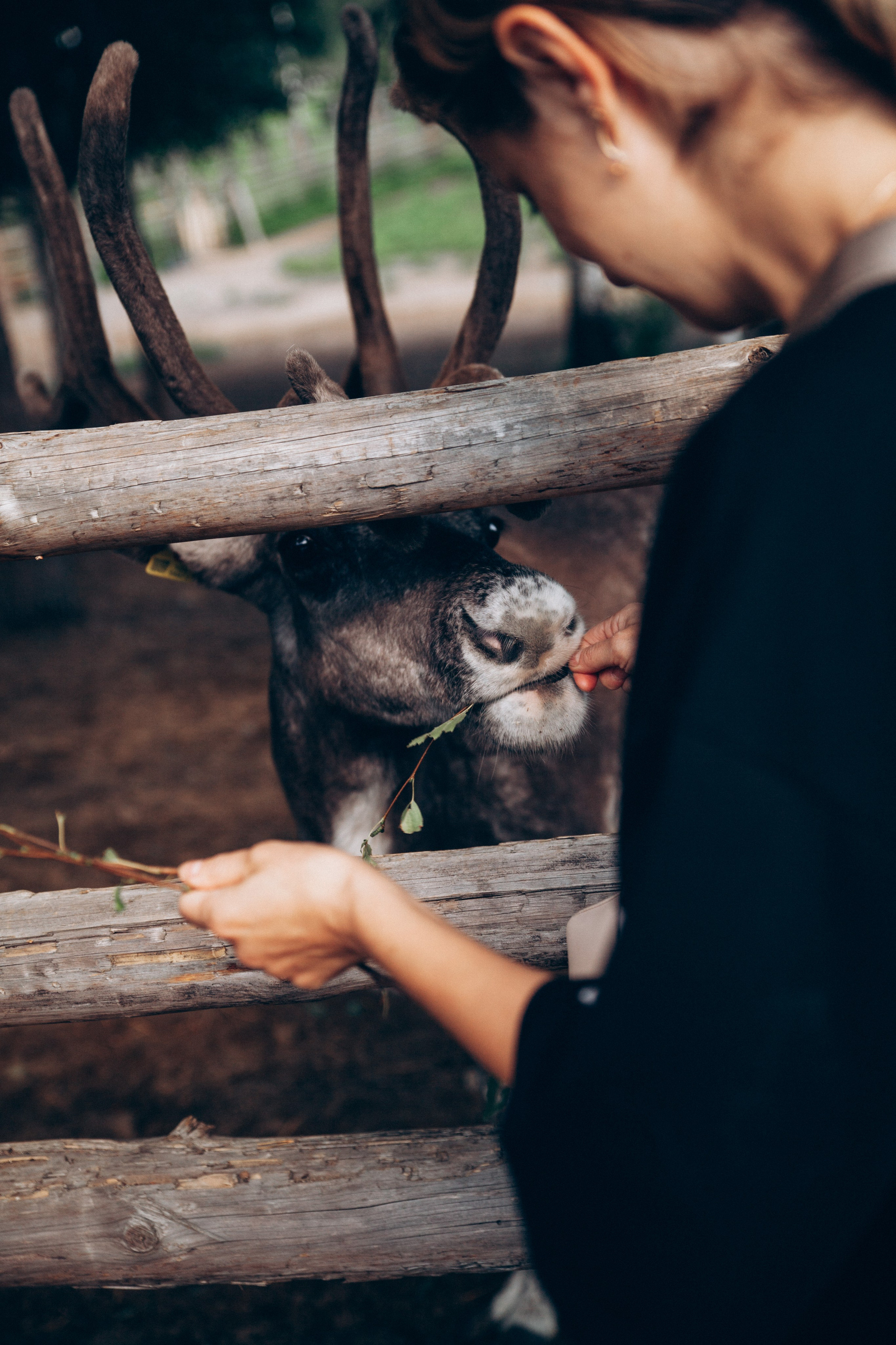 Питер-Карелия. Репортажный и детский фотограф в Минске