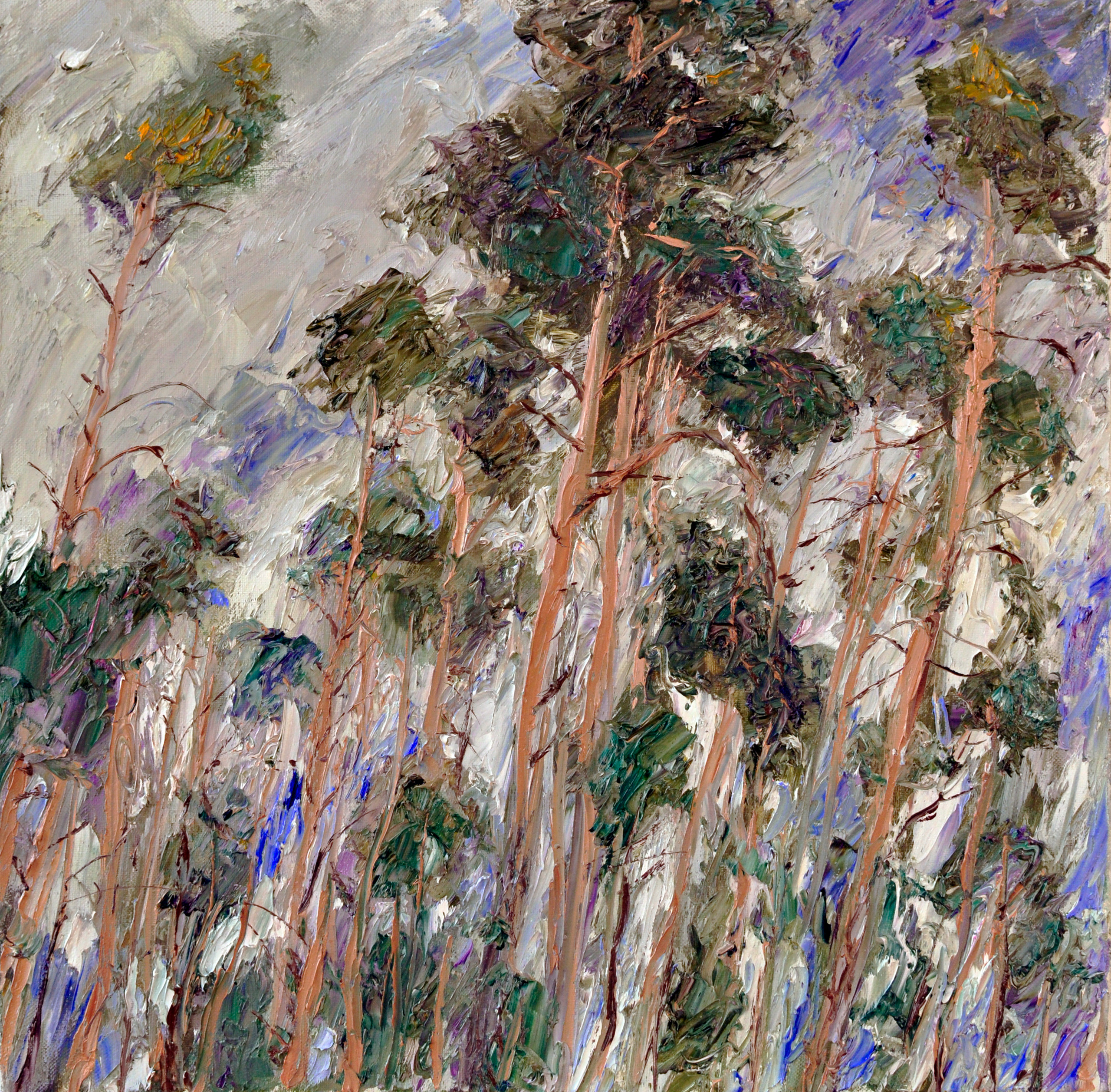"Сосны II" холст, масло, 50х50см., 2018