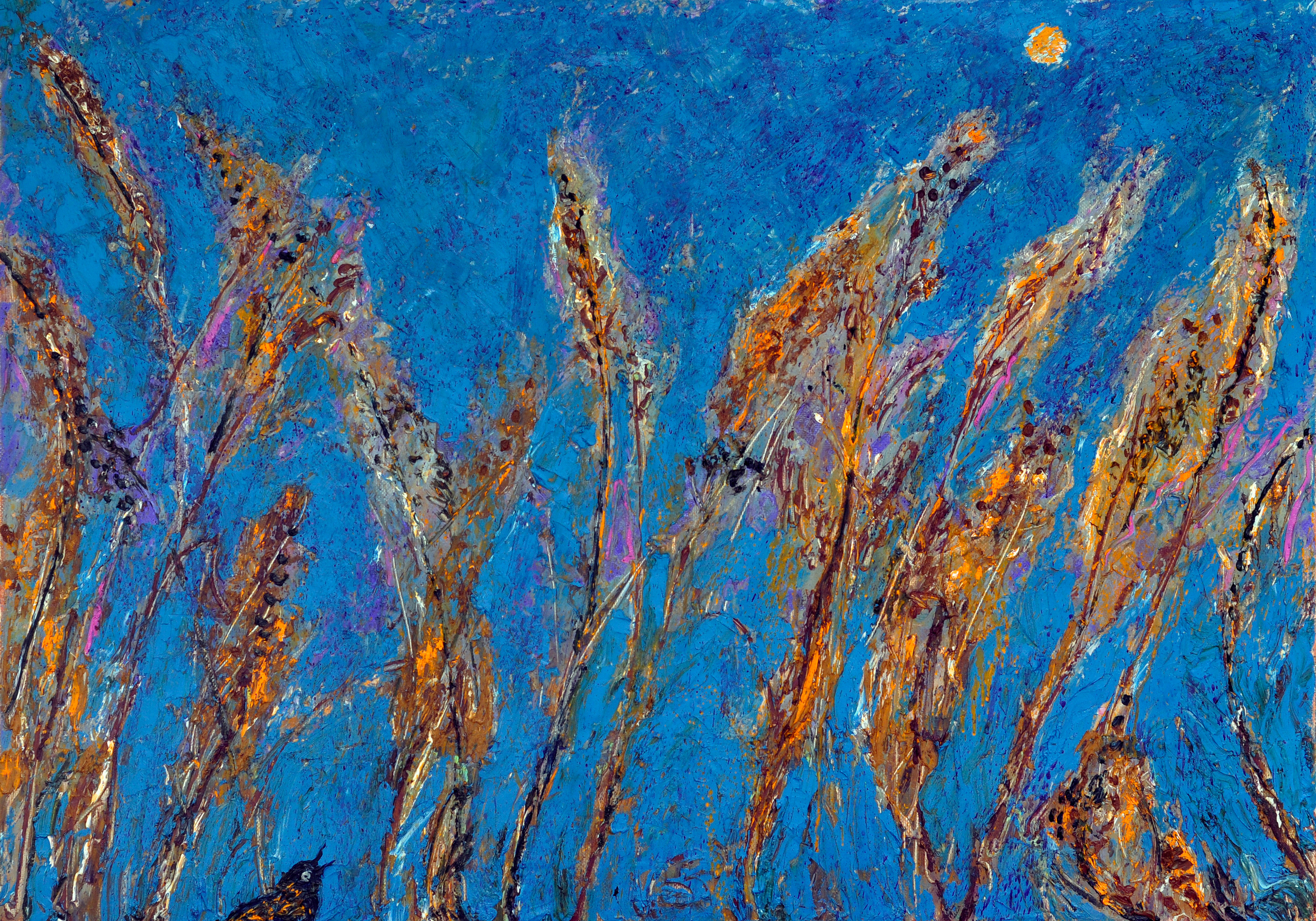 "Ночные травы"  холст, масло, 80х120см., 2022 год