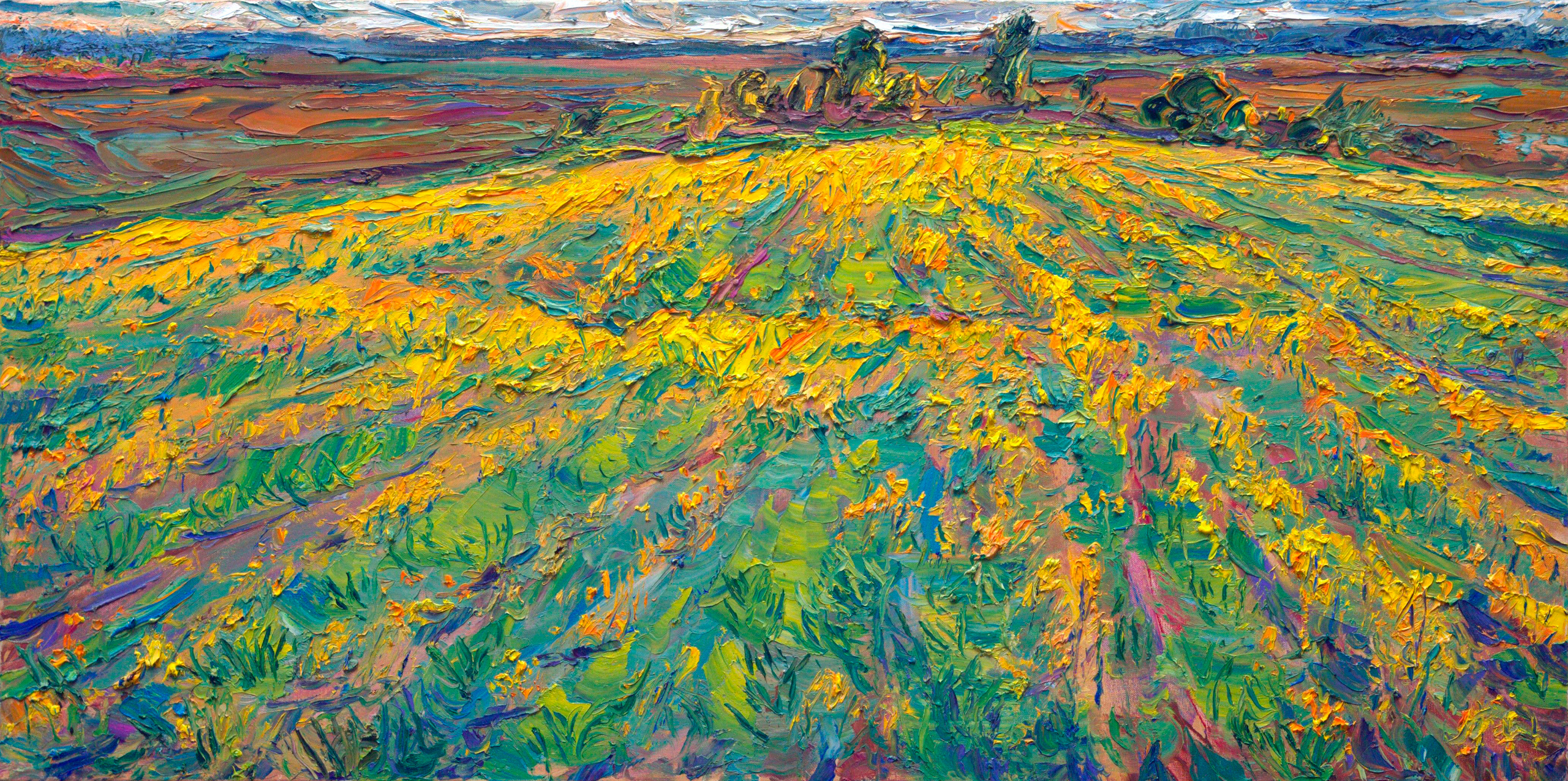 "Цветущее поле" холст, масло, 50x100см., 2020 год