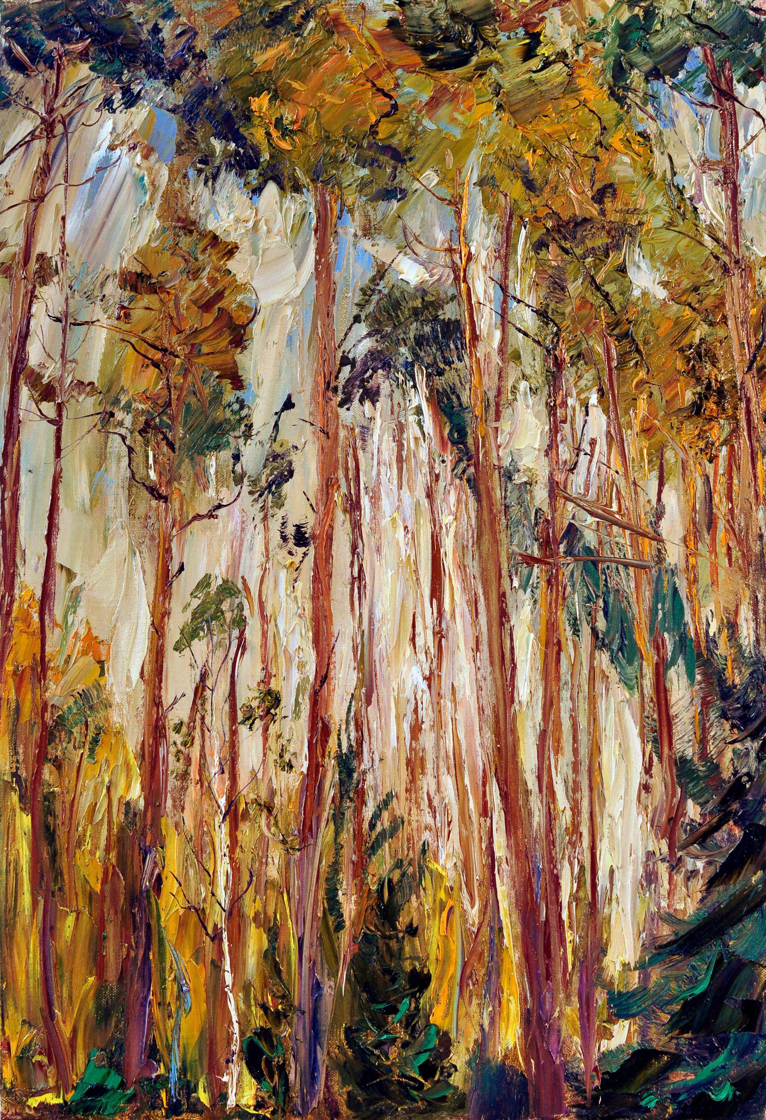 "Сосны IX" холст, масло, 50х50см., 2018 год