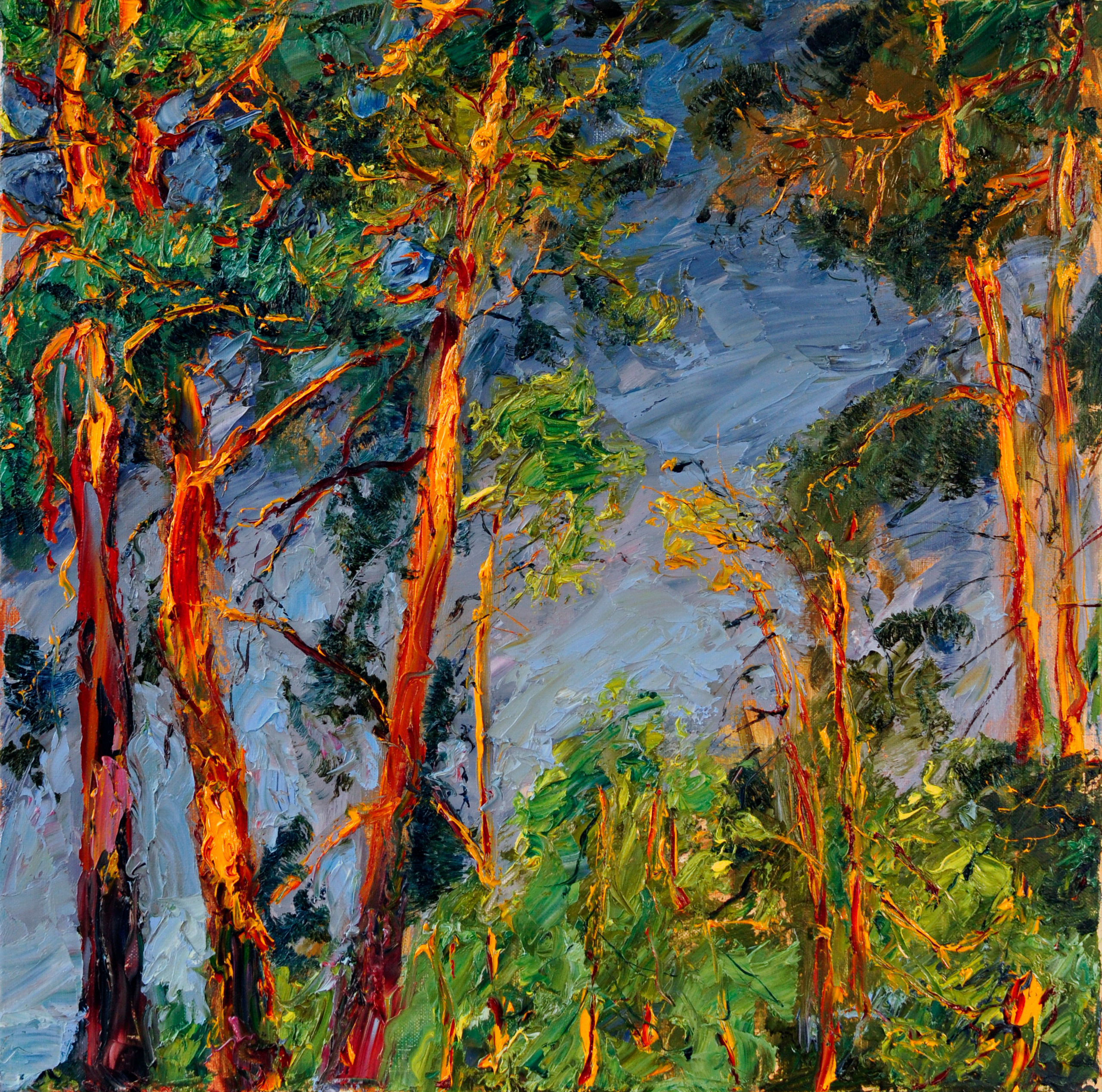 "Сосны I" холст, масло, 50х50см., 2018