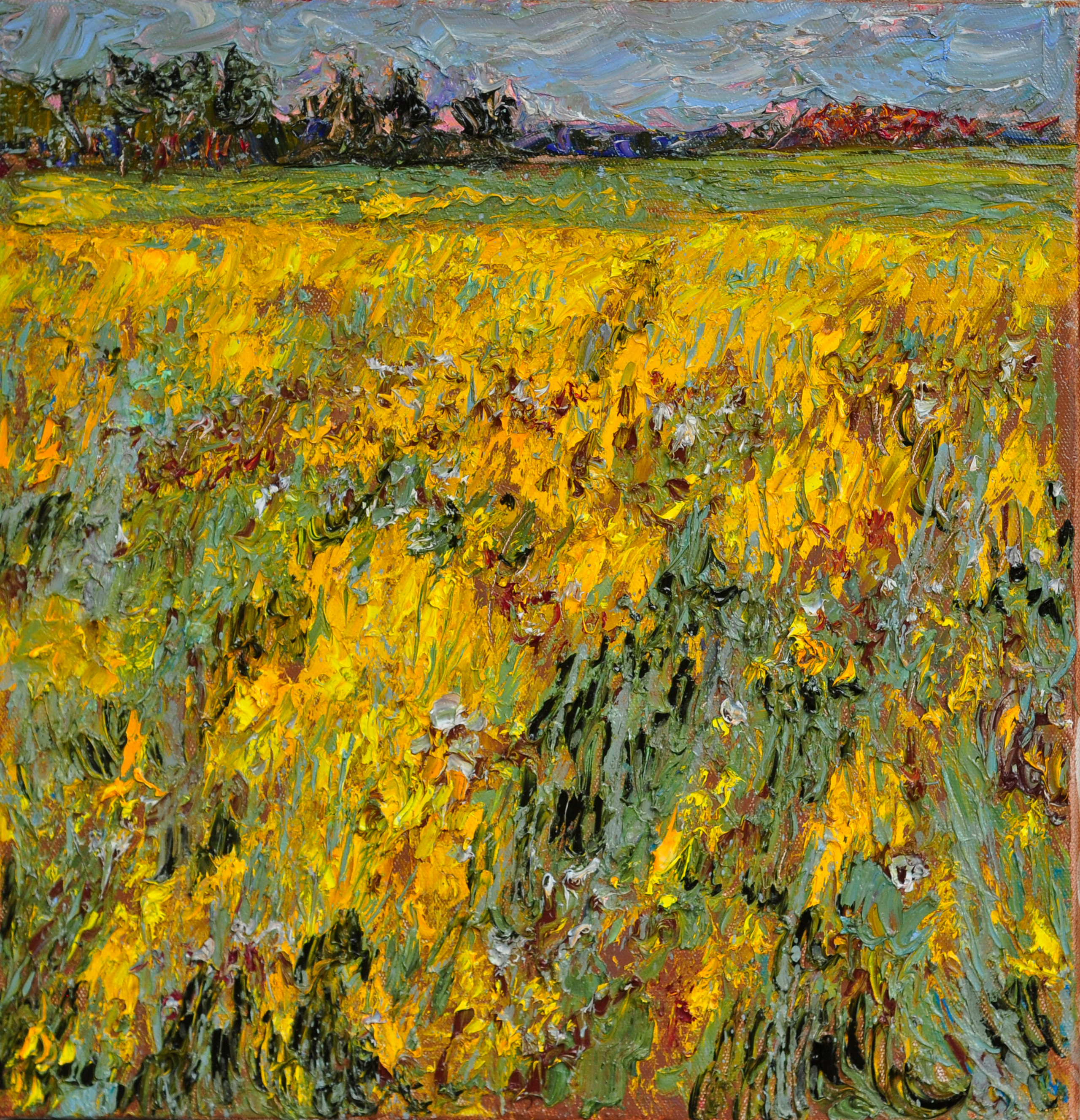 "Цветущая сурепка IX" холст, масло, 50x50см., 2022 год