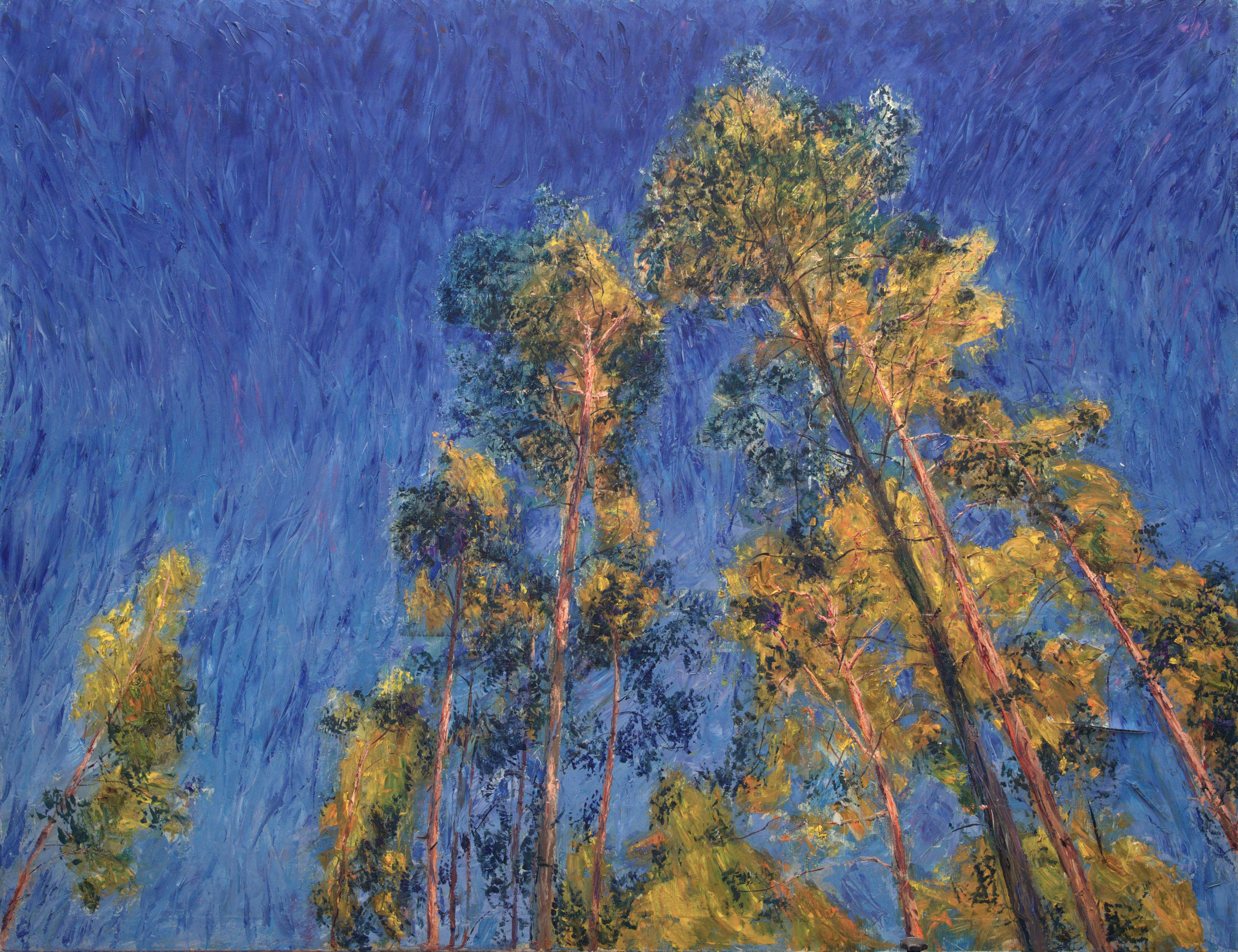 "Большие сосны" холст, масло, 140х180см., 2019 год