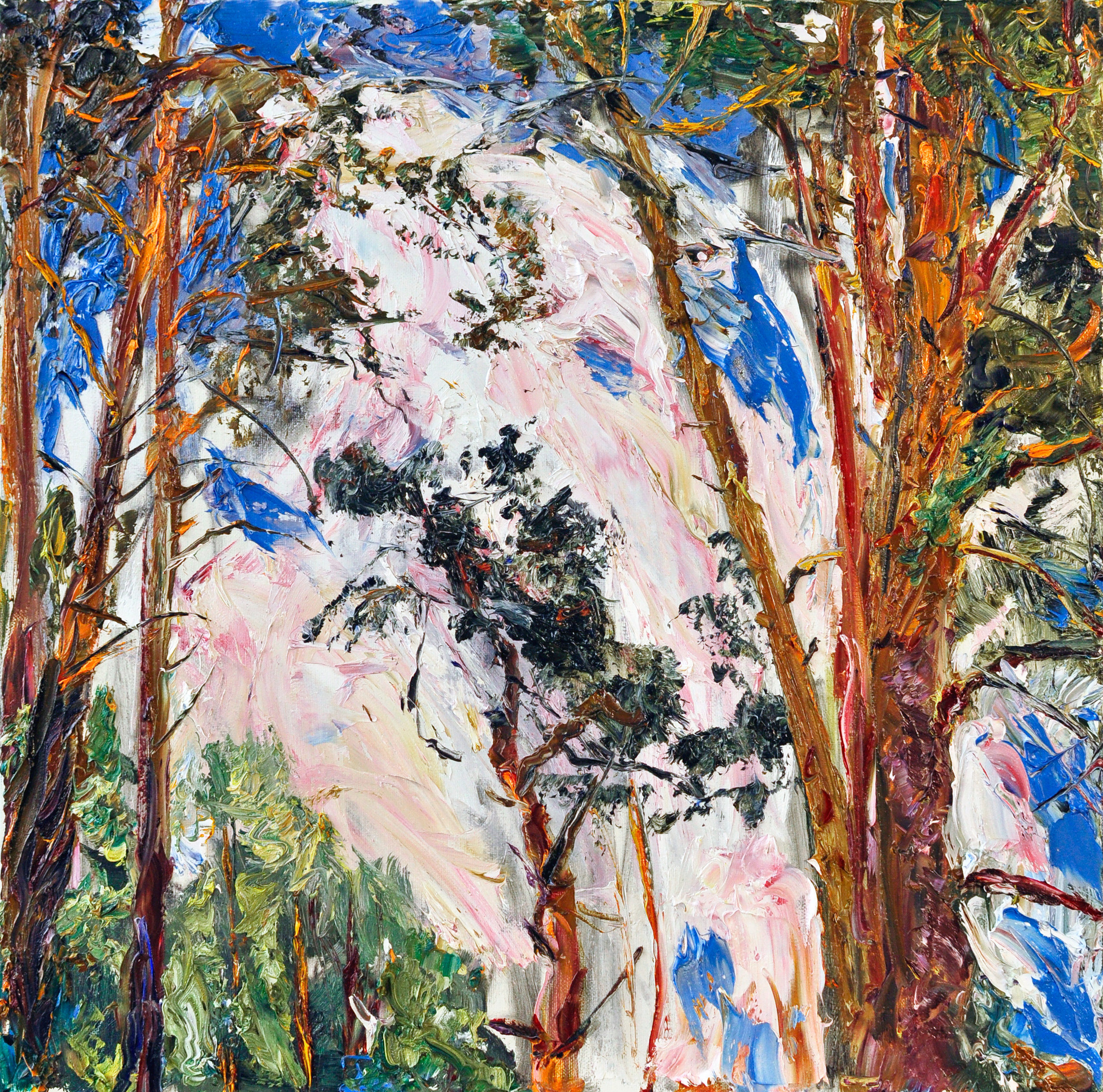 "Сосны V" холст, масло, 50х50см., 2018