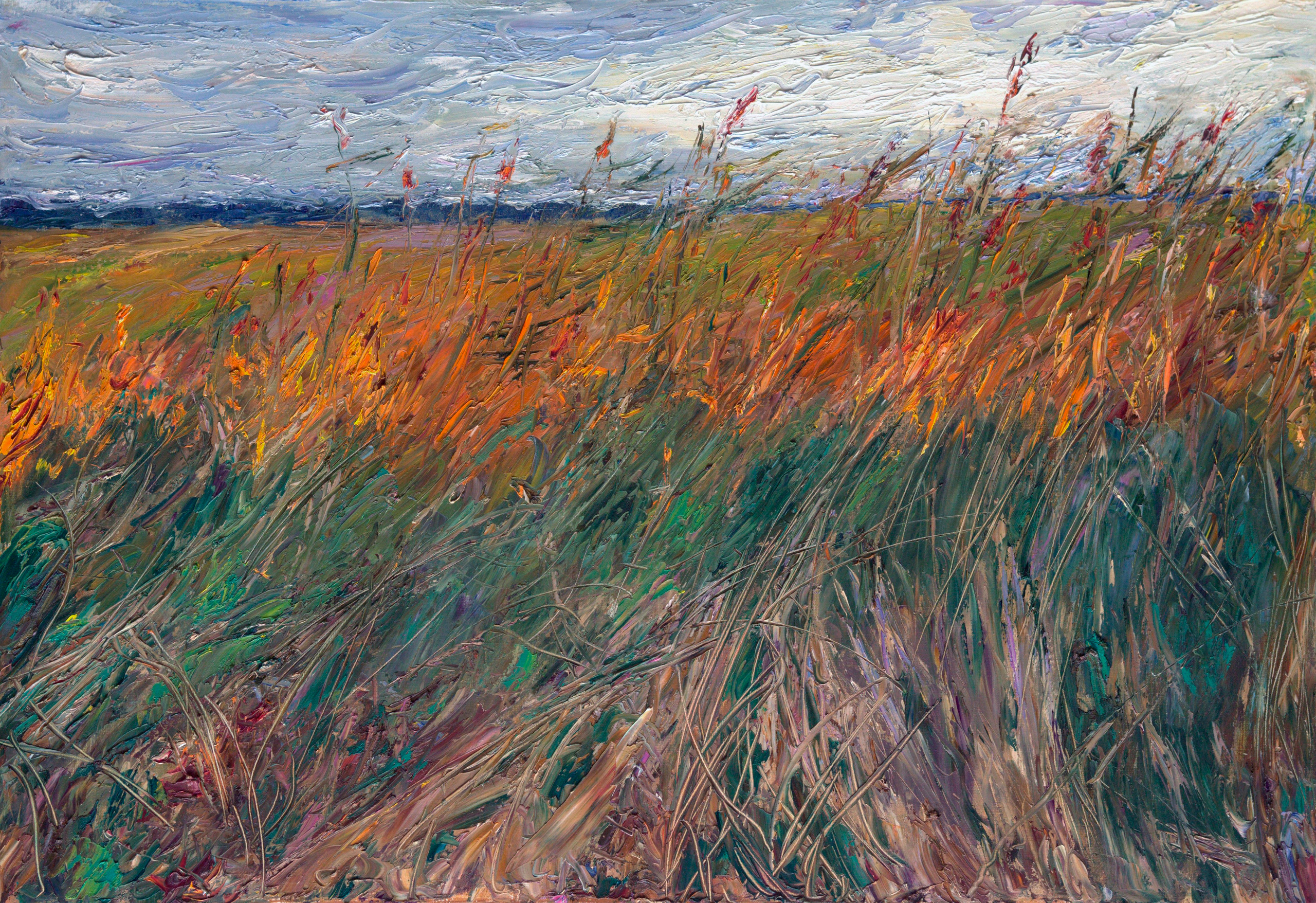 "Летние травы. Золотой луч"  холст, масло, 80х110см., 2019 год