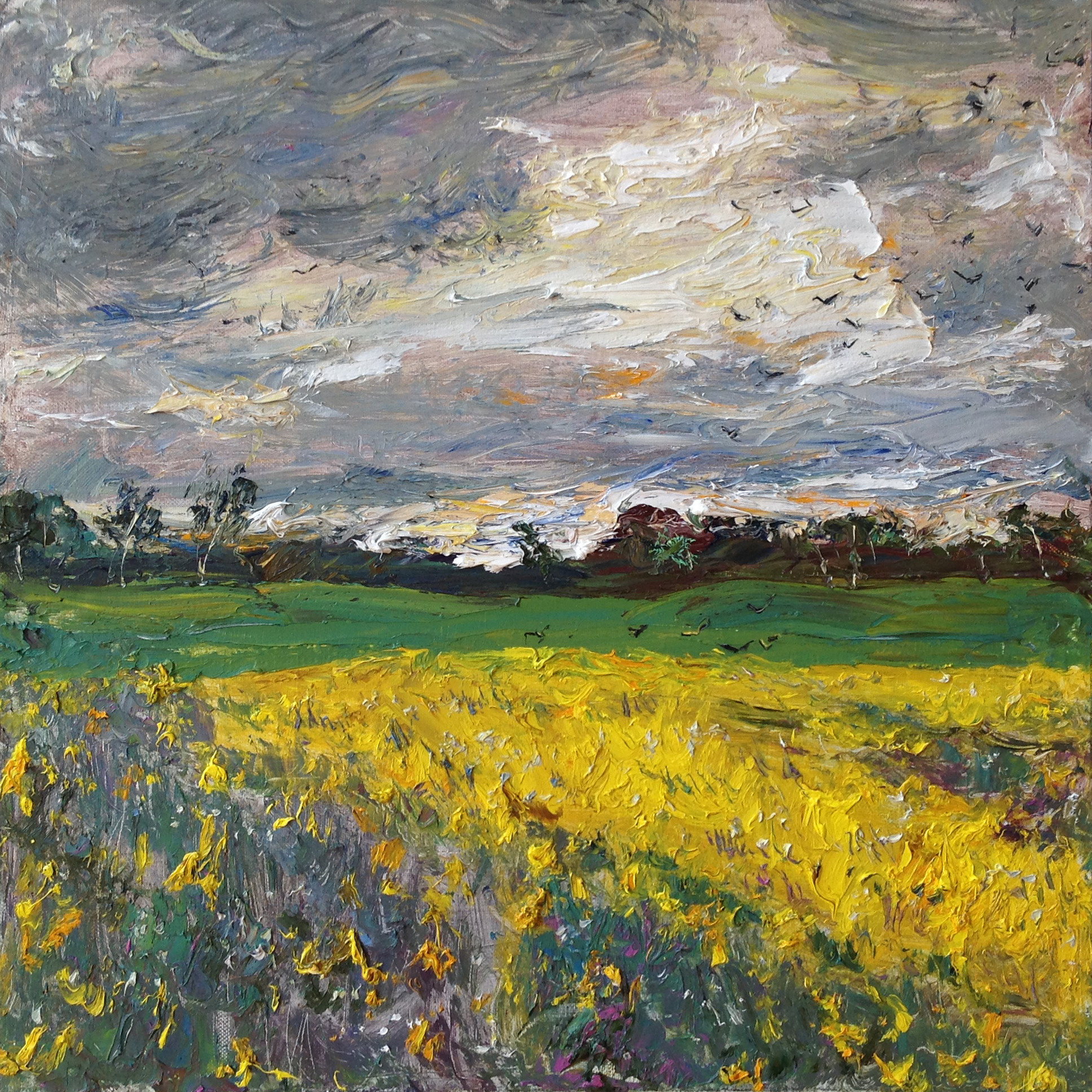 "Цветущая сурепка VII" холст, масло, 50x50см., 2019, частная коллекция