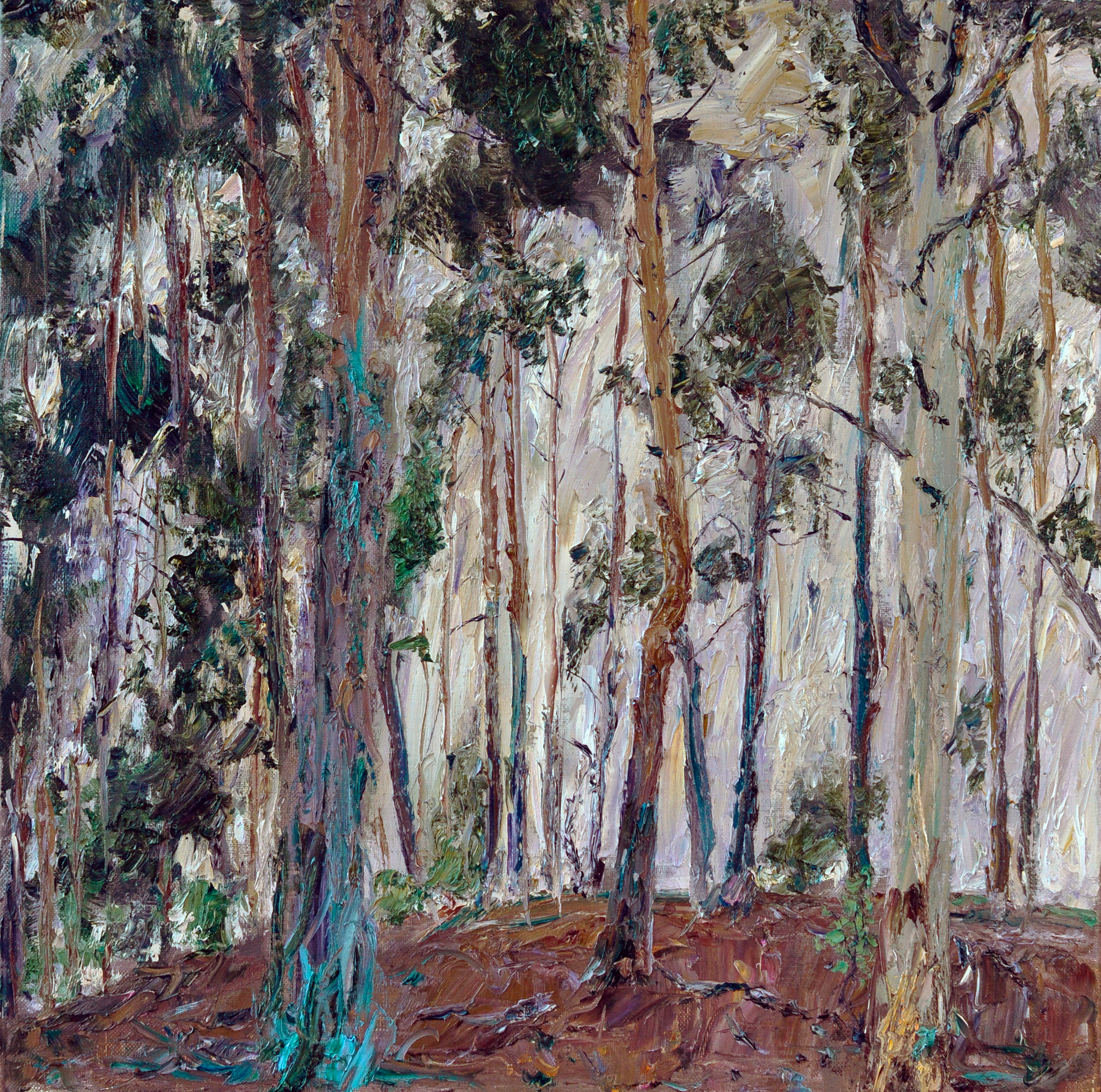 "Сосны III" холст, масло, 50х50см., 2018