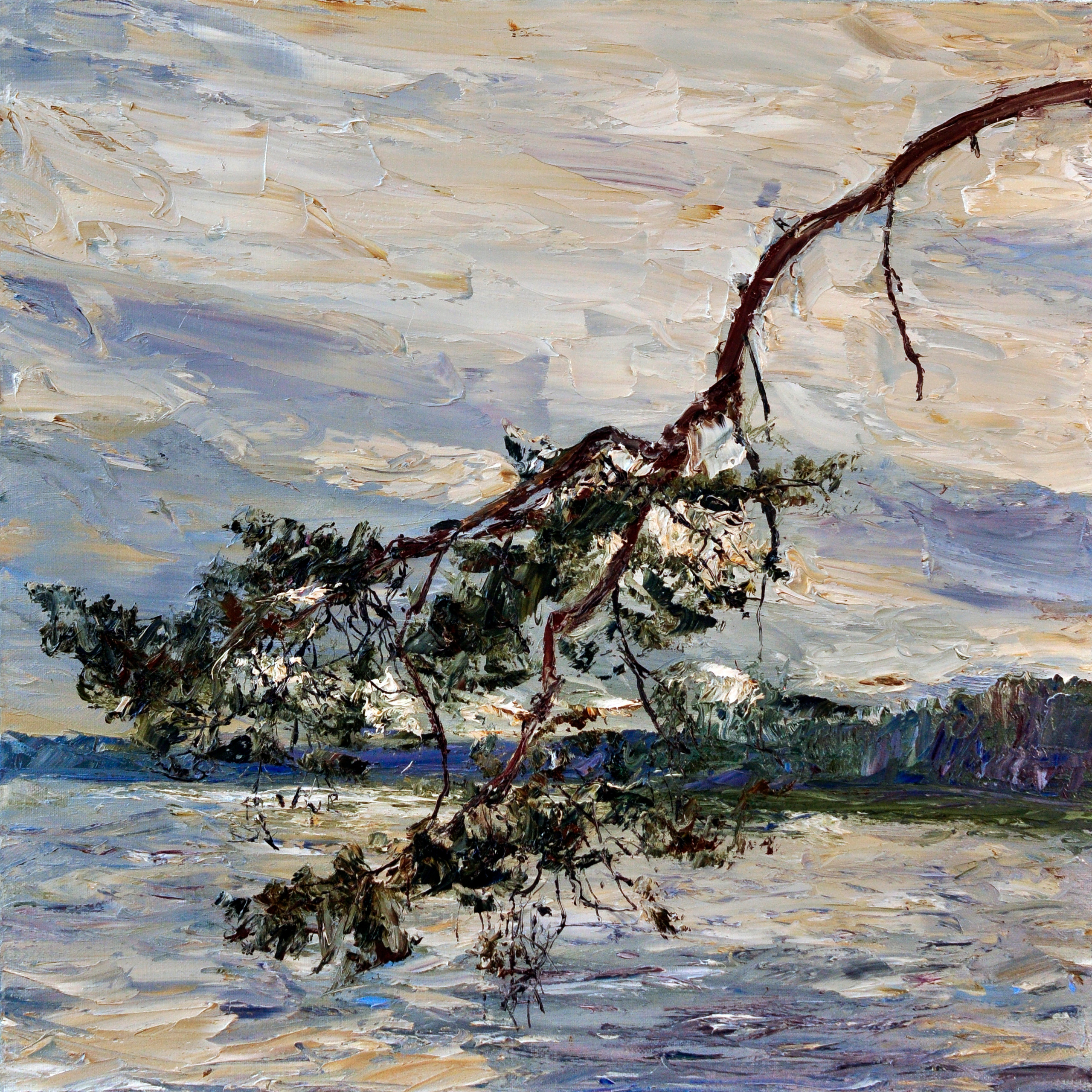 "Сосны VII" холст, масло, 50х50см., 2018 год