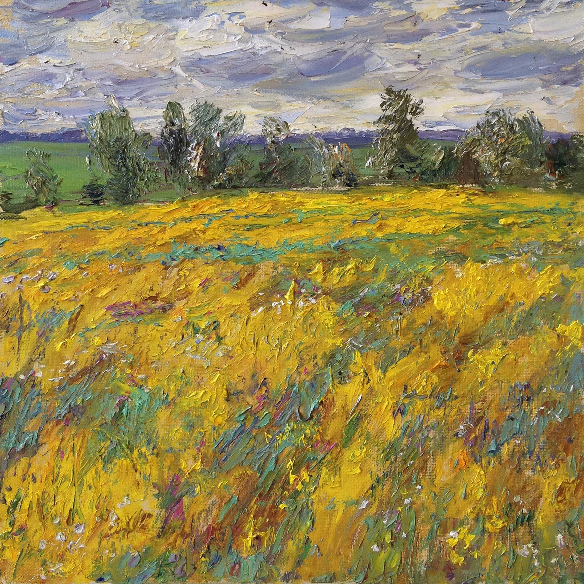 "Цветущая сурепка VI" холст, масло, 50x50см., 2019