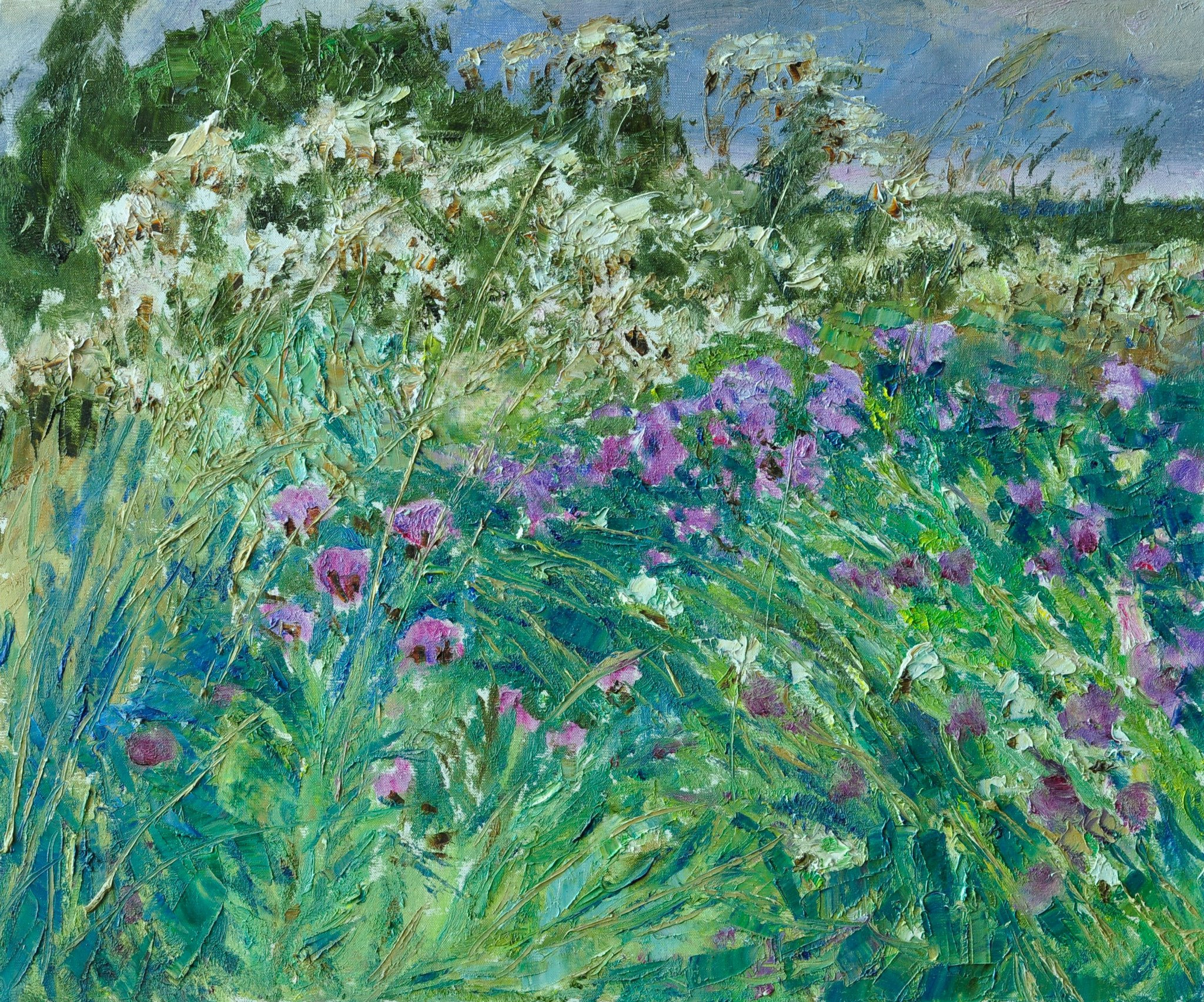 "Цветущие травы III" холст, масло, 50x60см., 2011 год