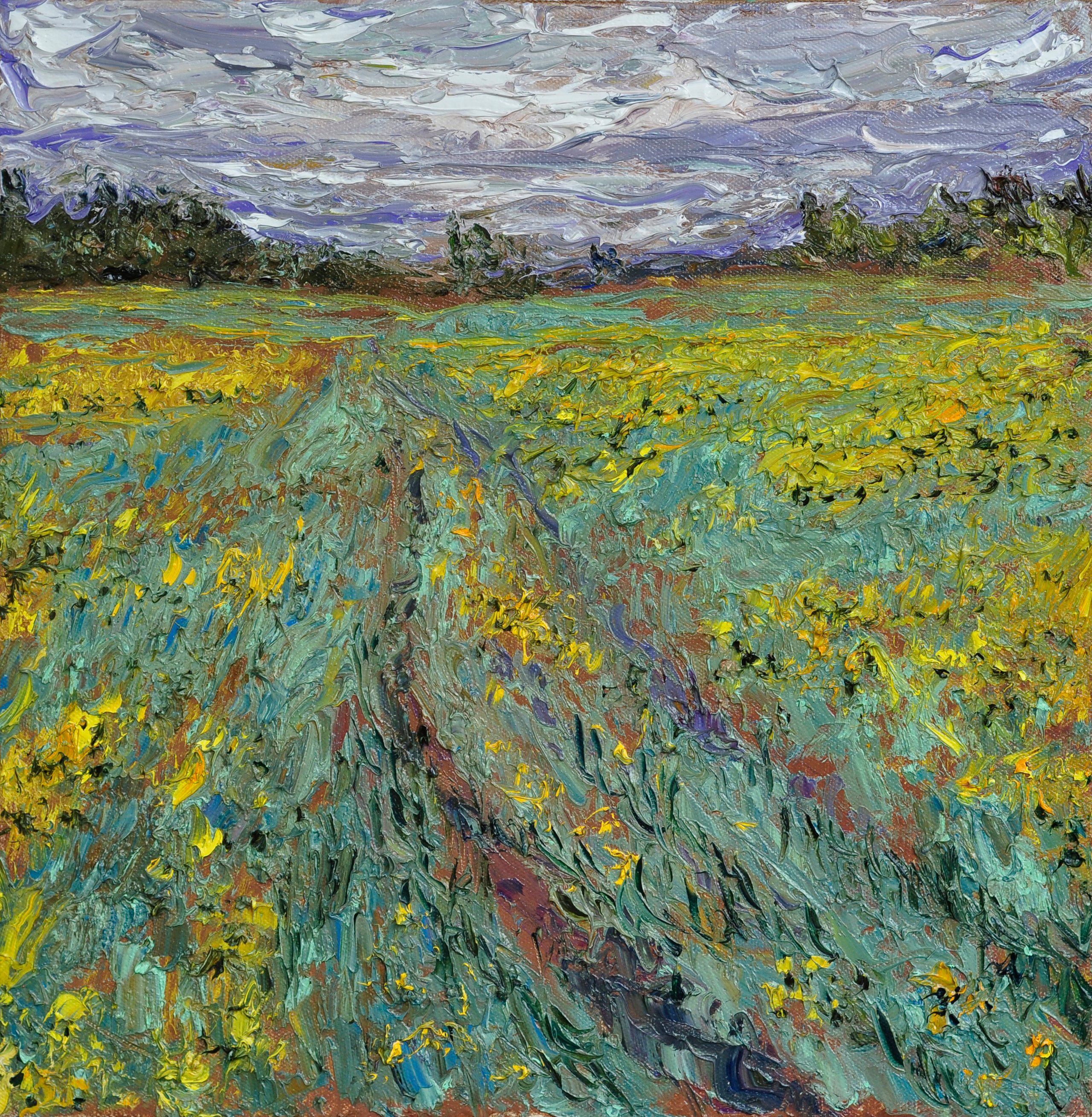 "Цветущая сурепка X" холст, масло, 50x50см., 2022 год