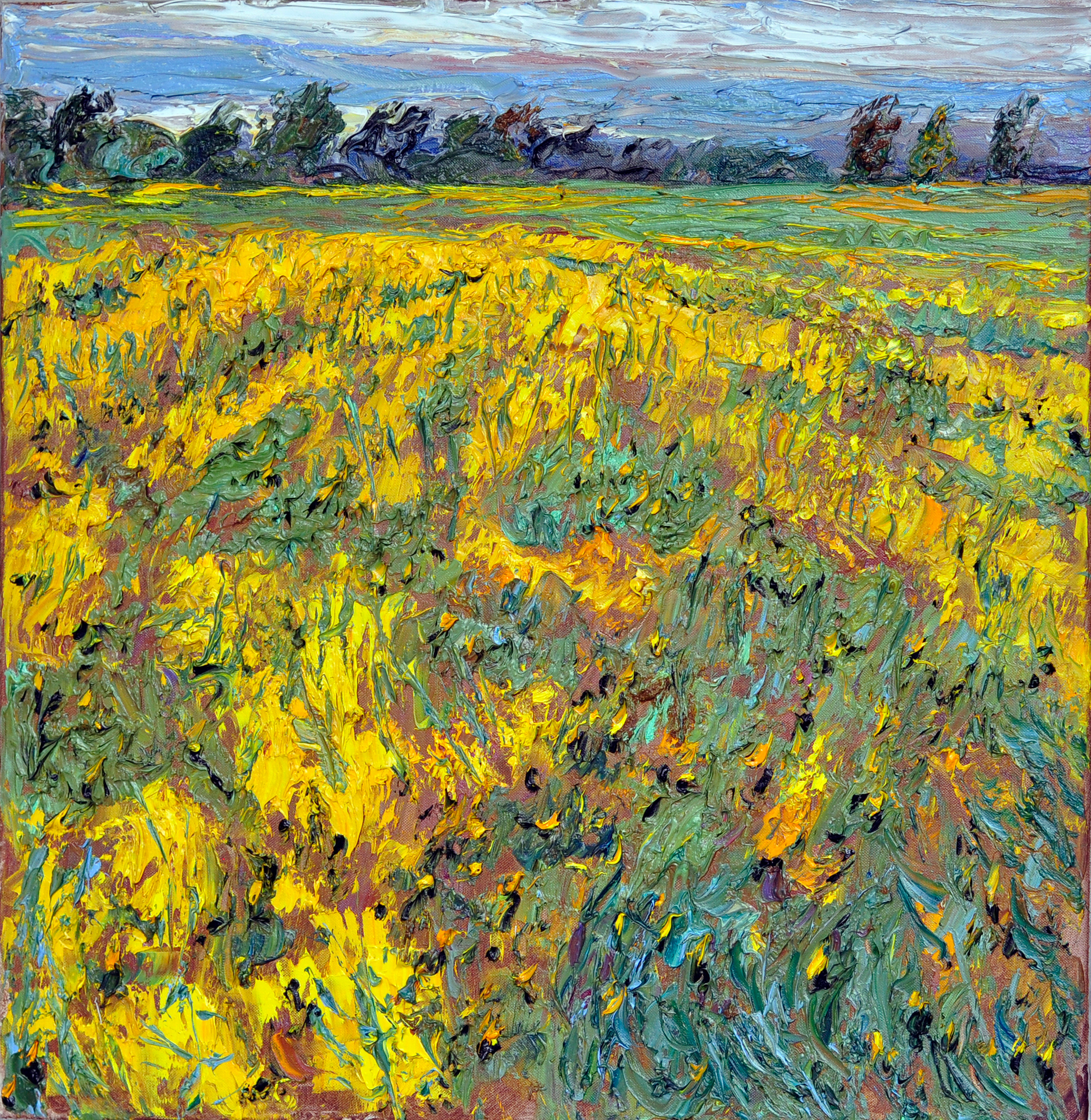 "Цветущая сурепка XI" холст, масло, 50x50см., 2022 год