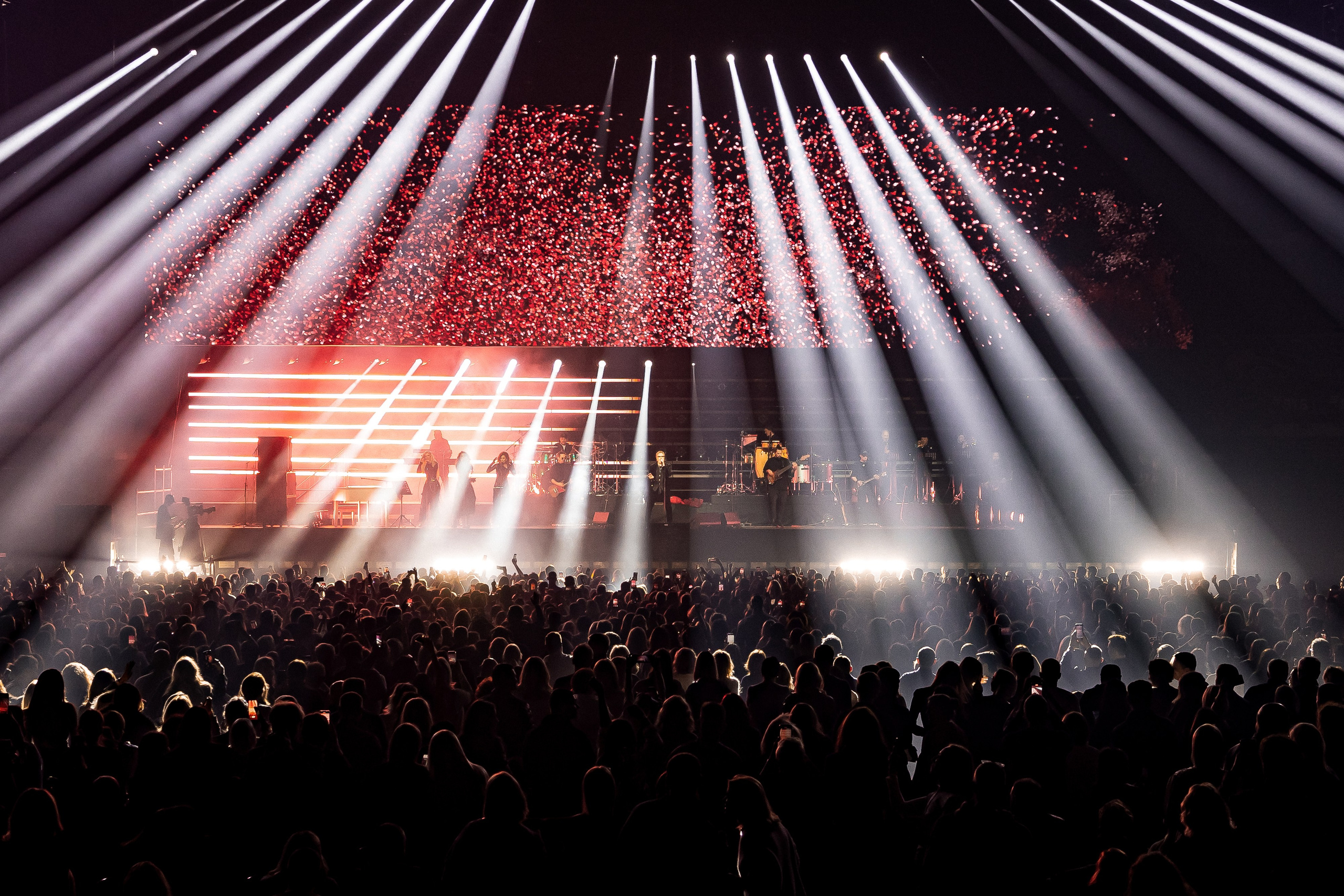 ВЛАДИМИР ПРЕСНЯКОВ / 2024. OOPS