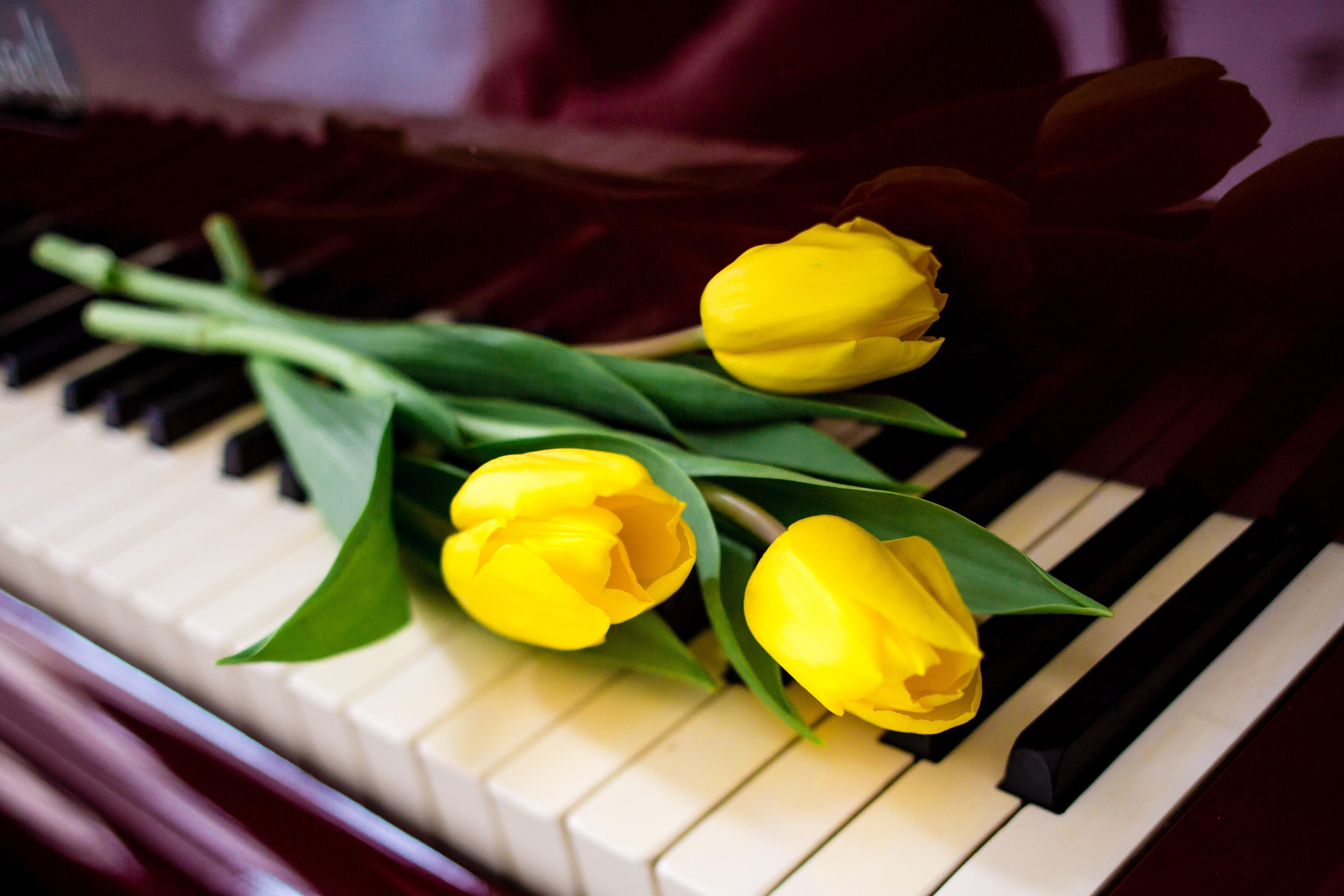 Индивидуальная фотосъёмка. Ведущий на праздник в Москве / Денис Аганин