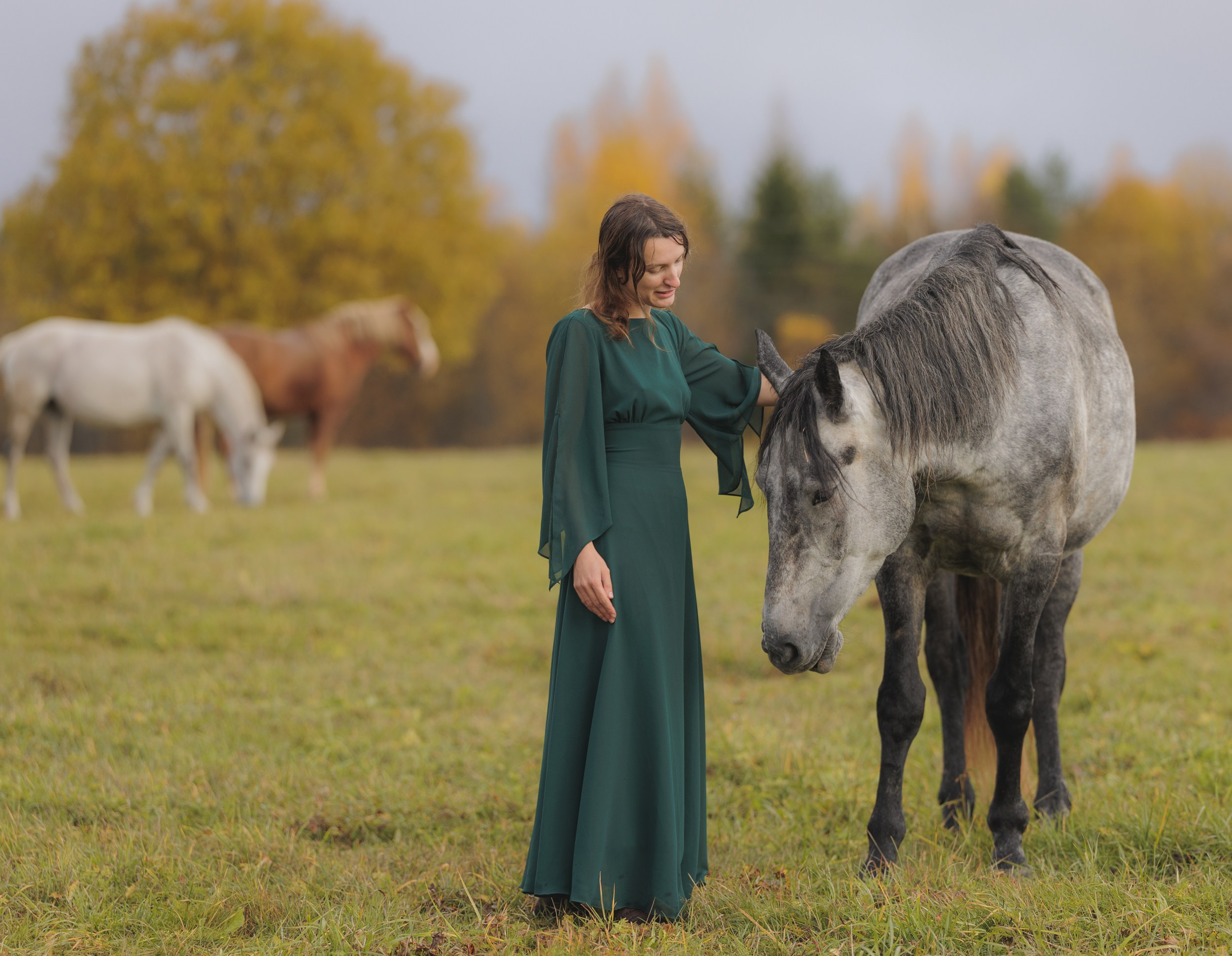 Аренда лошадей для фотосессии в Петрозаводске. Фотограф Варвара Ермоленко