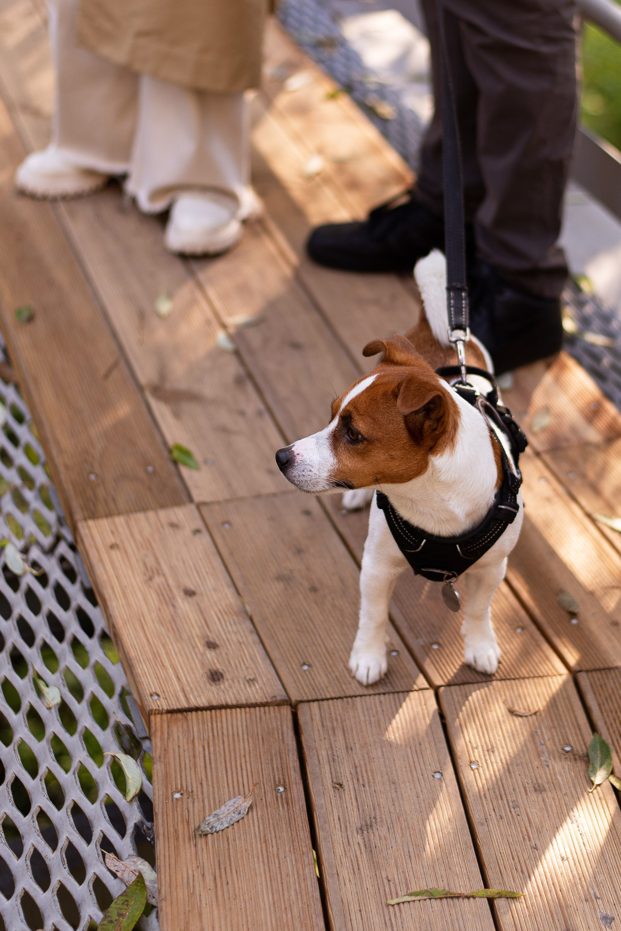 Смотреть серию. ЖЕНСКИЙ ФОТОГРАФ КРИСТИНА ВИГЕЛЬ