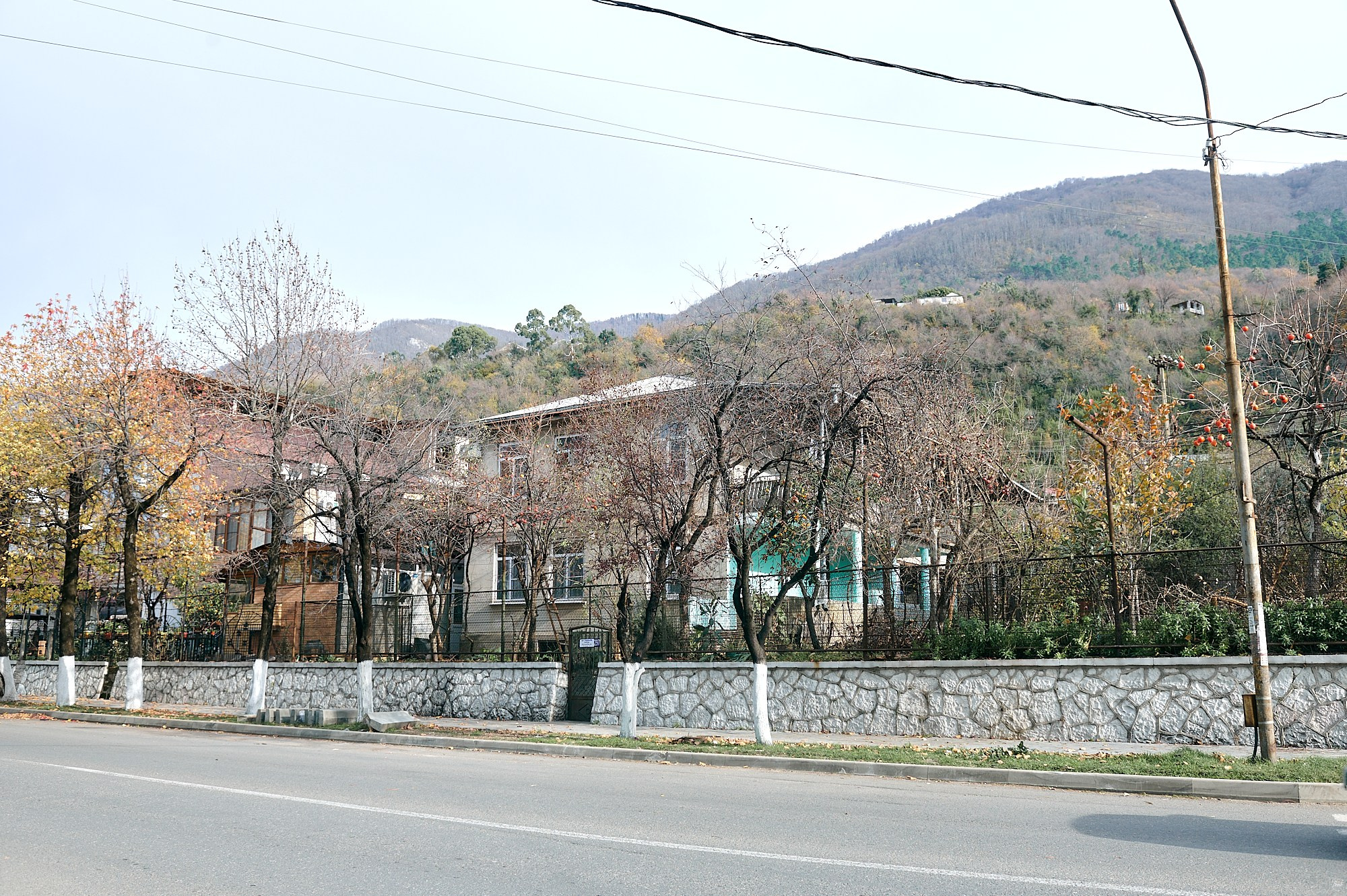 Гагра, Абхазия. Декабрь 2024. Фотографии отовсюду и обо всем