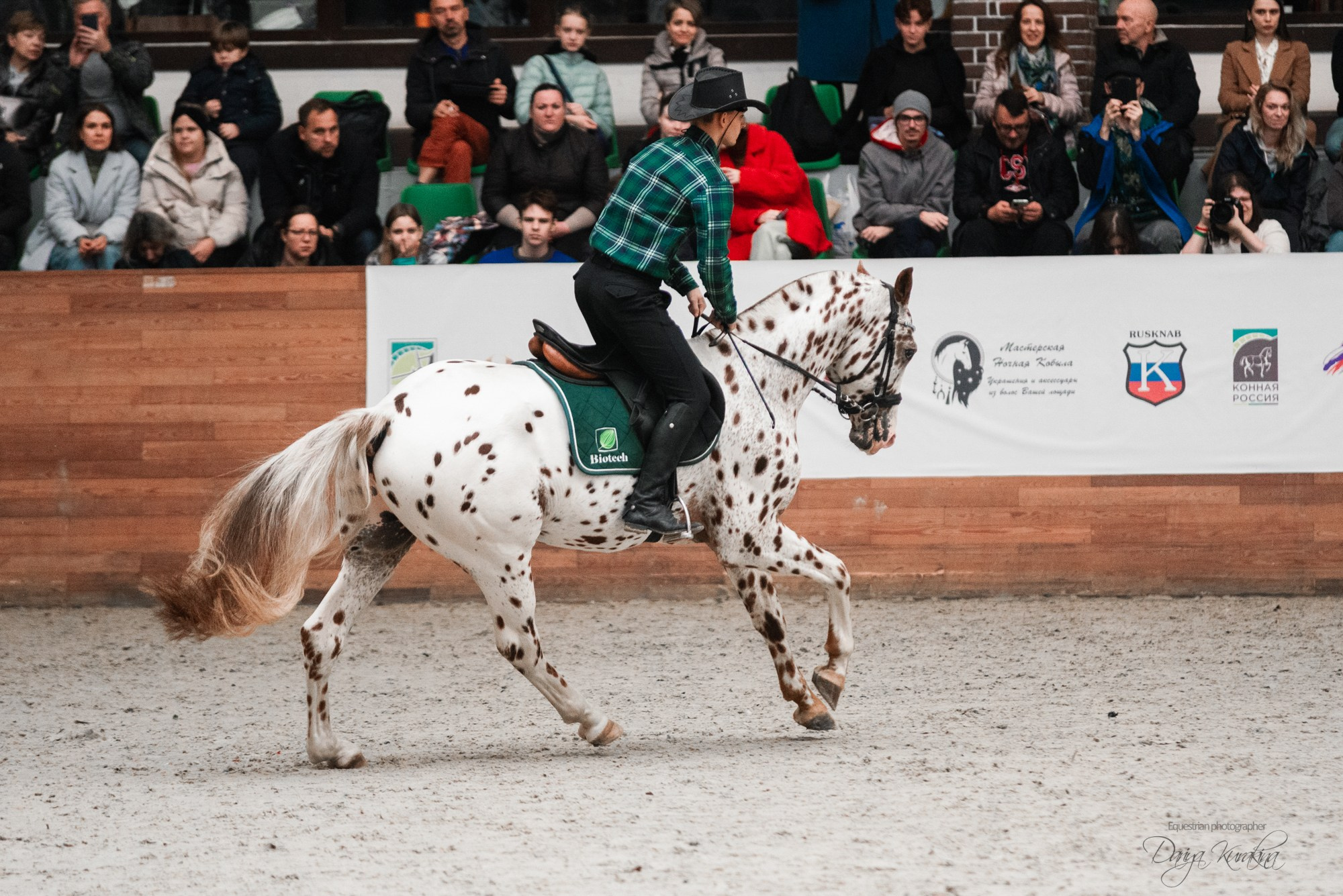 8-я международная выставка Конная Россия. Конный фотограф Куракина Дарья • Фотосессии с лошадьми