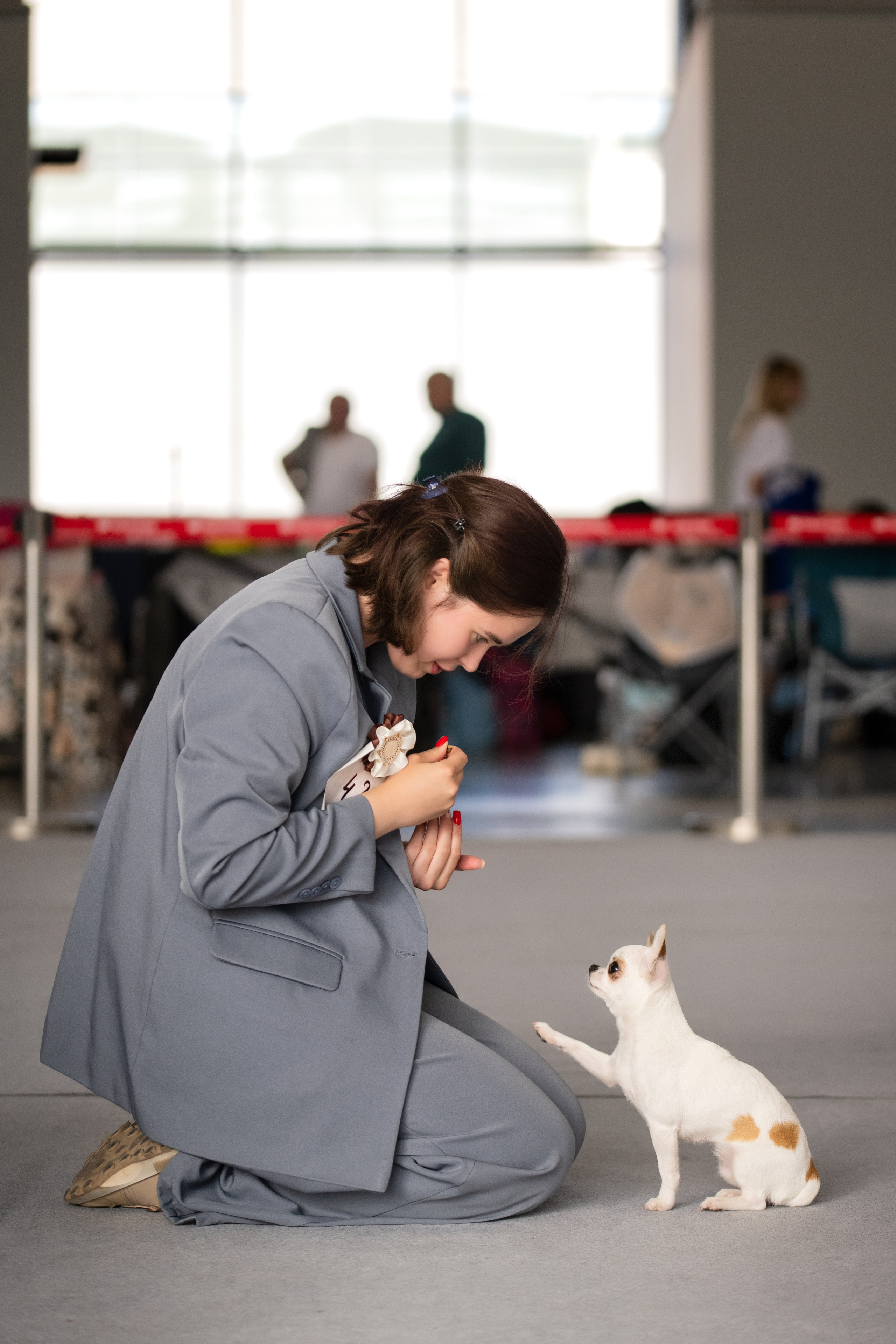 Собаки. FASHION ФОТОГРАФ КАЗАНЬ