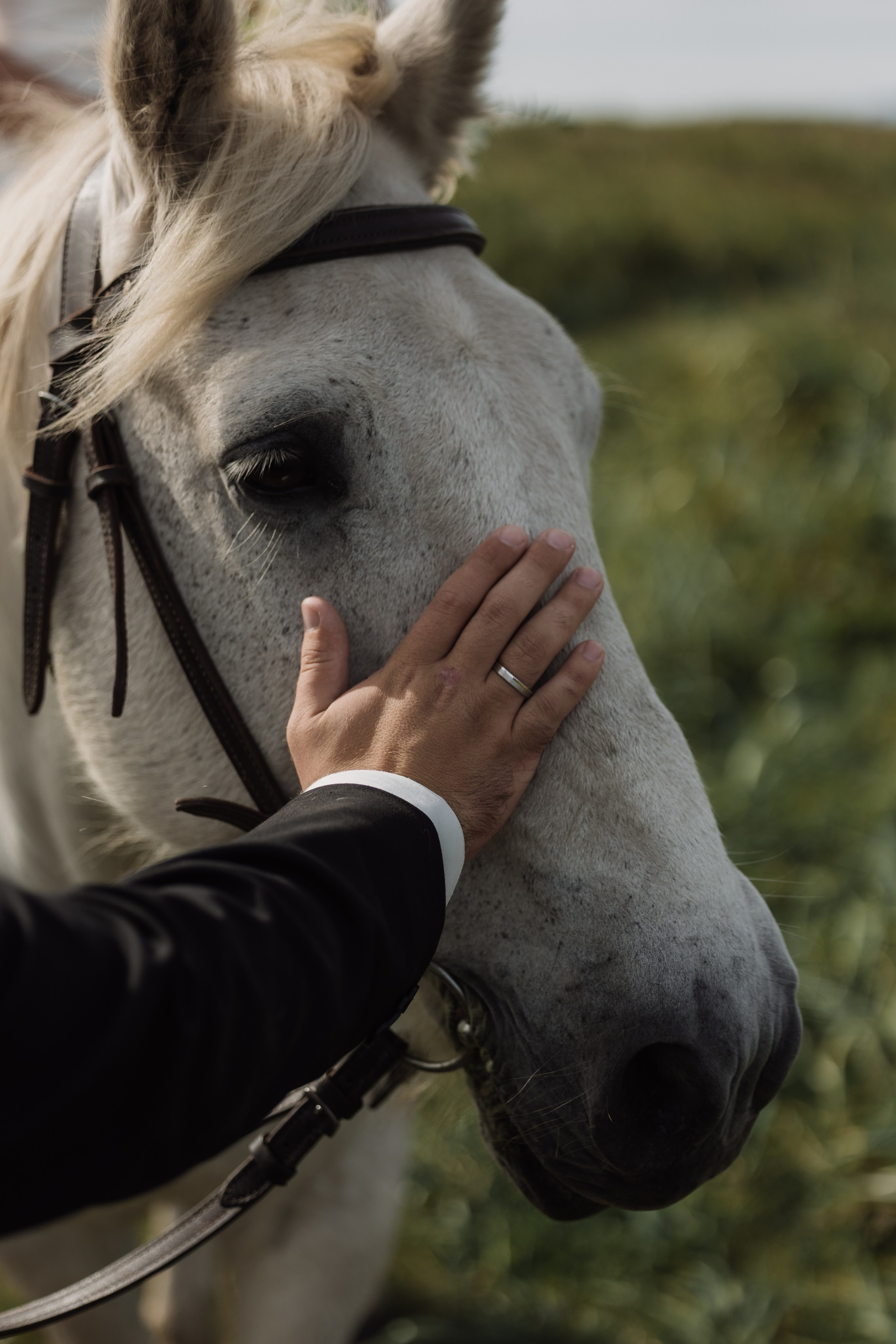 Дмитрий и Александра. Свадебный фотограф в Петропавловске-Камчатском Артур Зябов