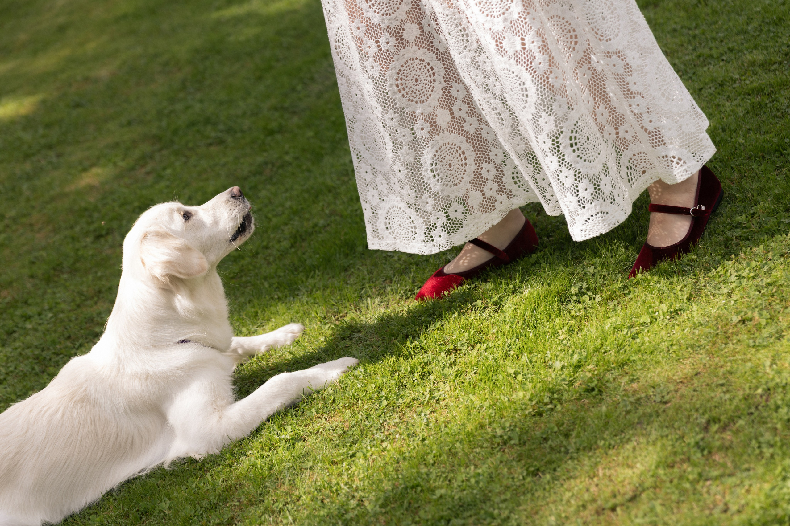 Роман & Полина. Свадебный фотограф в Минске, свадебный фотограф в Грузии, свадебный фо