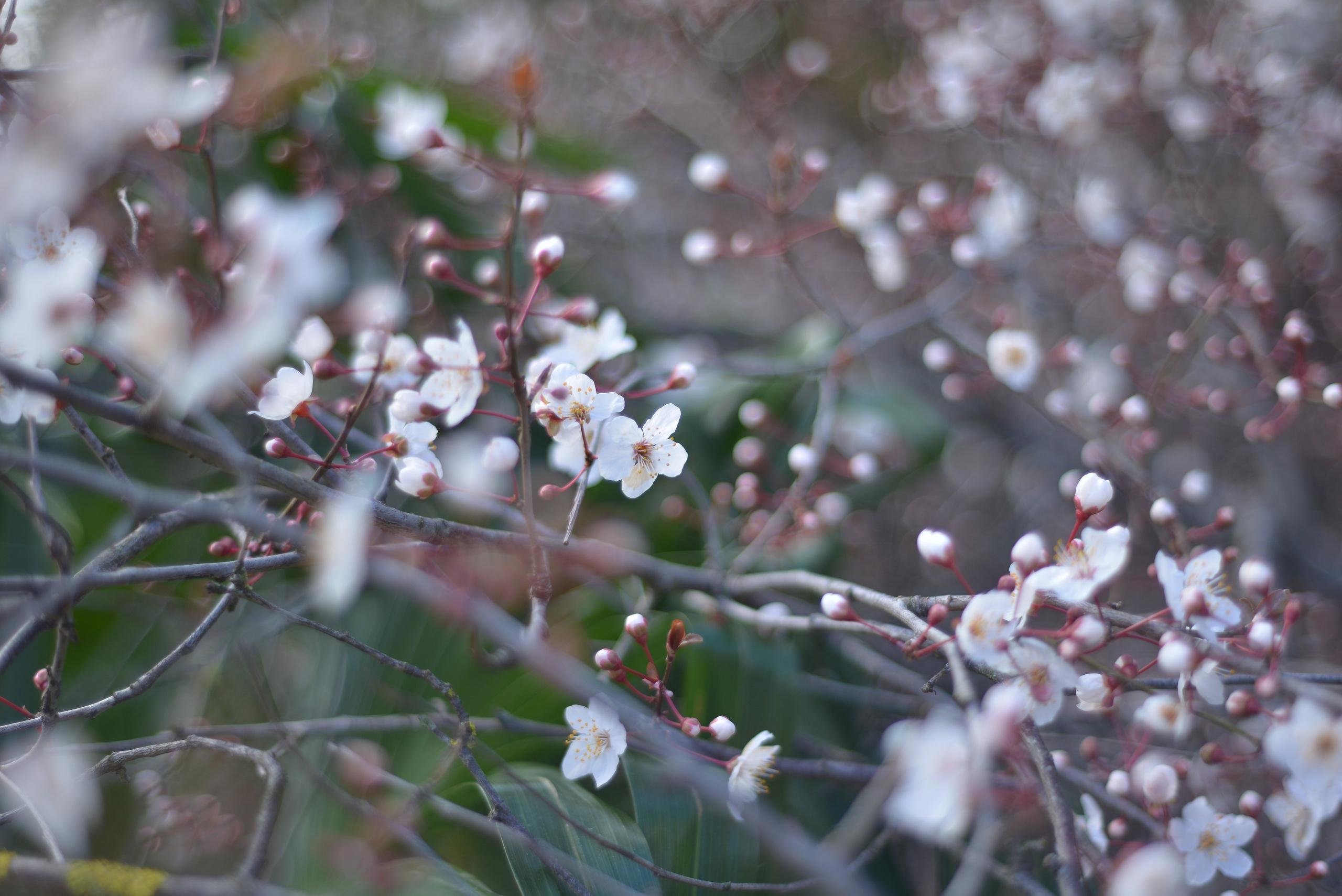 Есть. Психолог • Миронова Елена