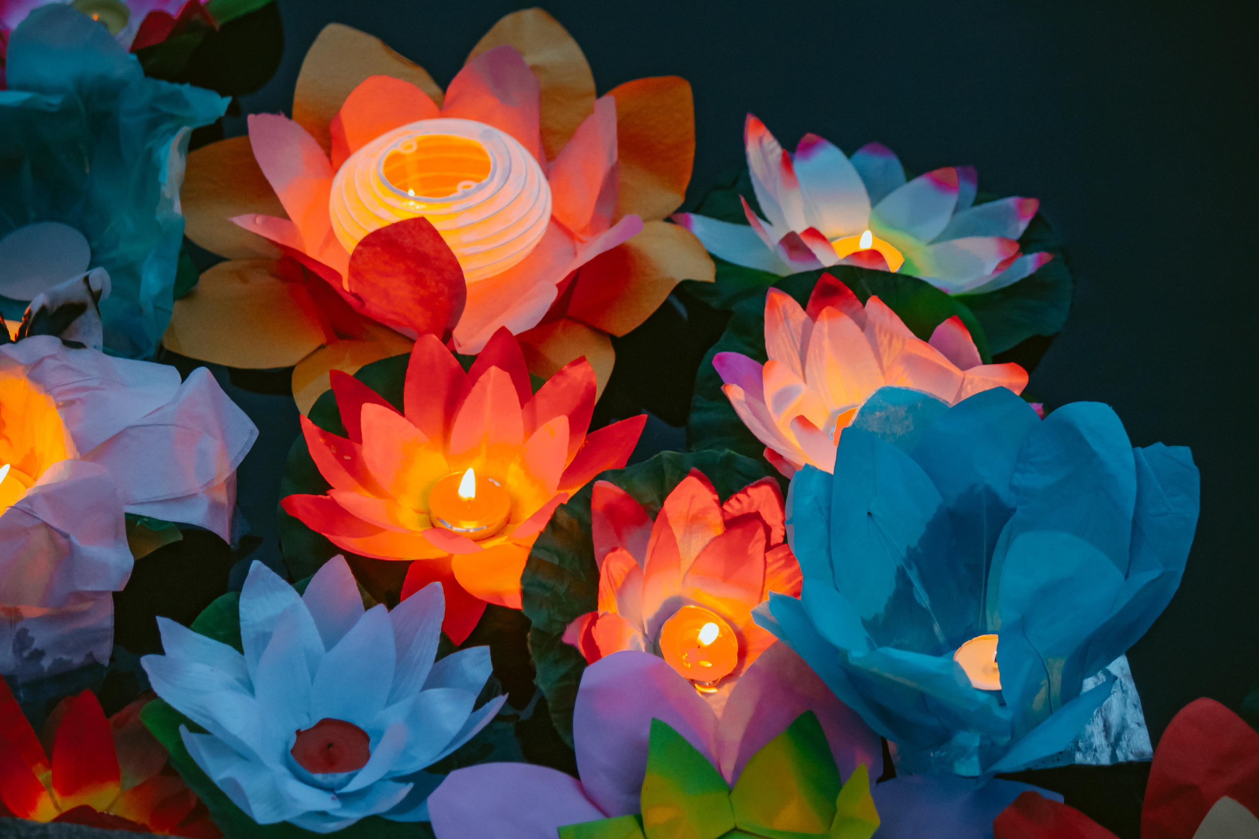 РЕПОРТАЖИ. |Lopatina Photography| Фотографы в Санкт-Петербурге