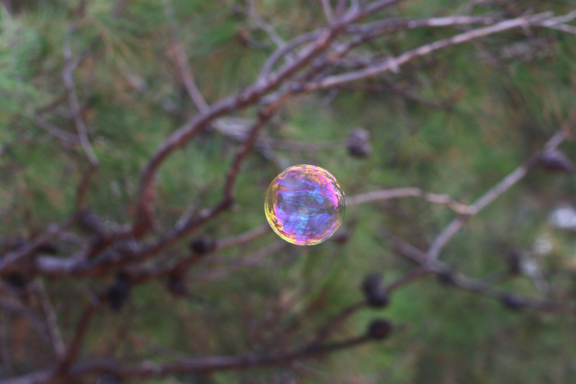 Геленджик 2016 г. Улица, люди, жизнь…