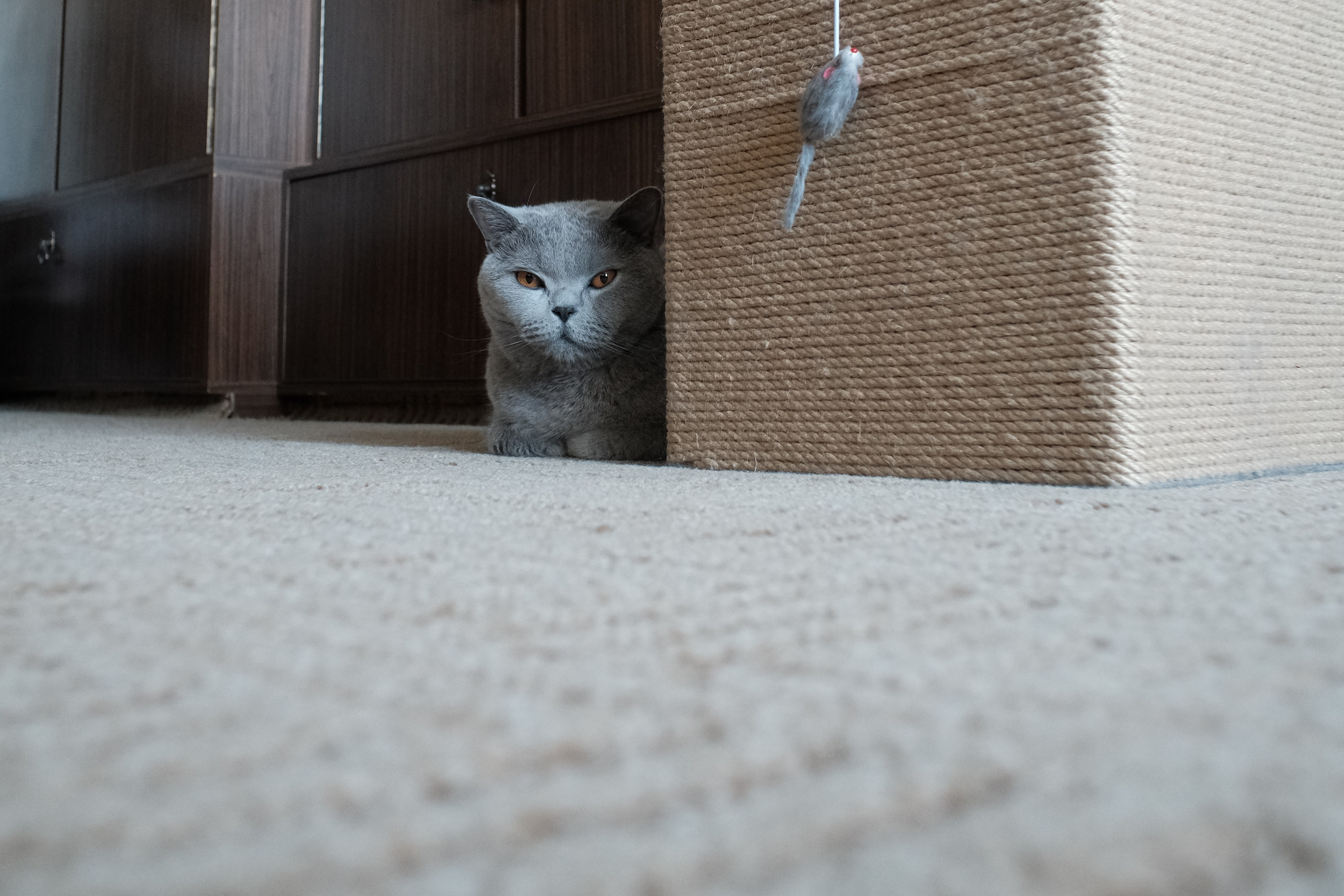 Улица, люди, жизнь…