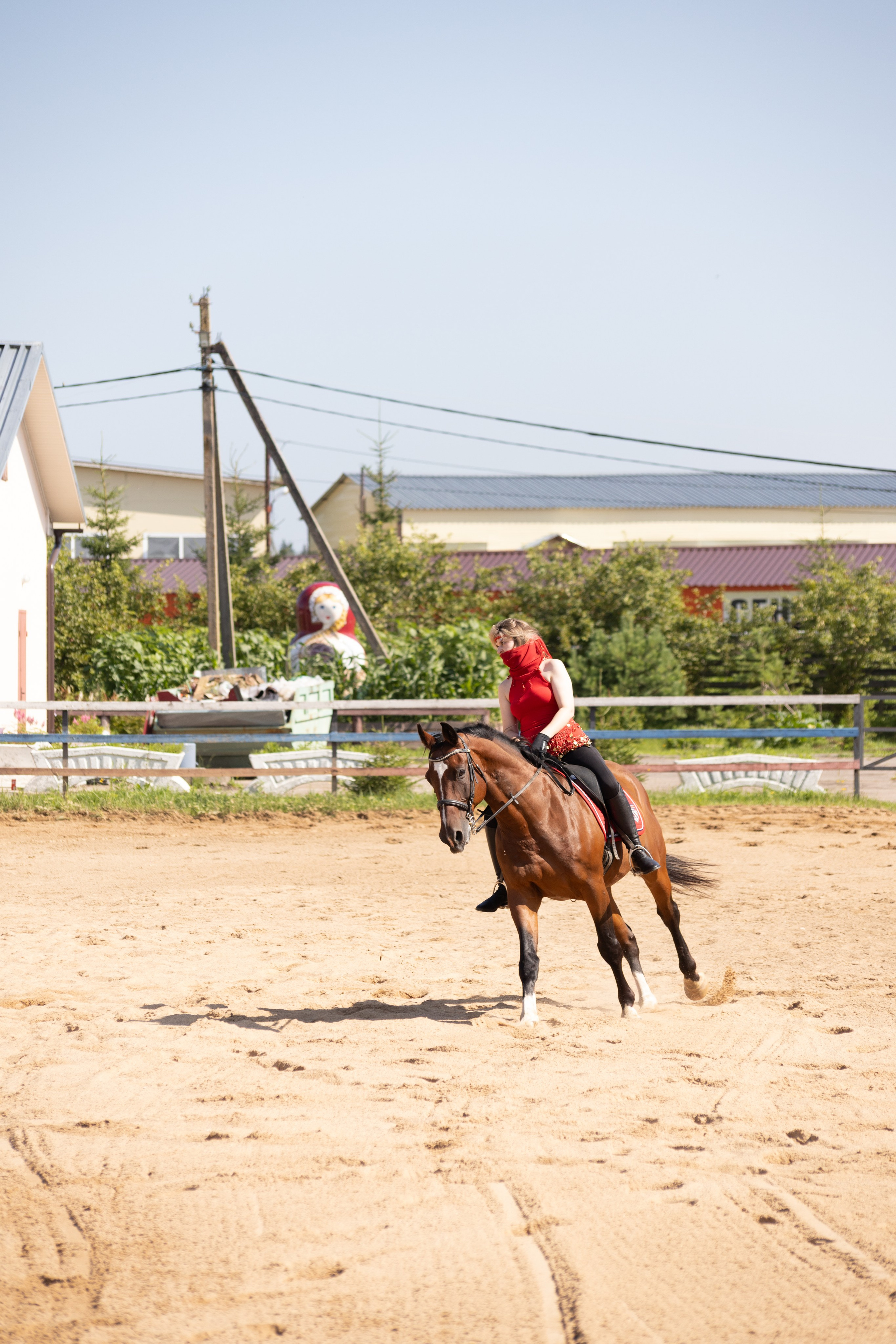 Конюшня. Фотограф в Москве и Истре
