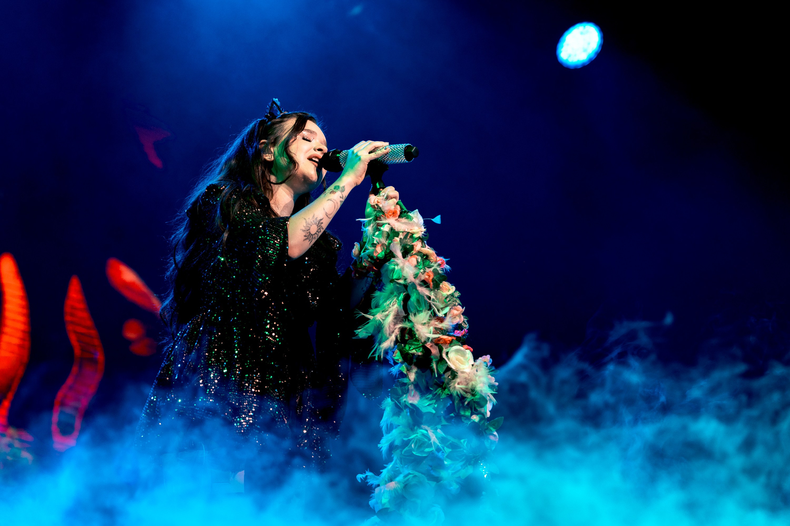 Алена Швец. Магия музыки в кадре: Концертная Фотография