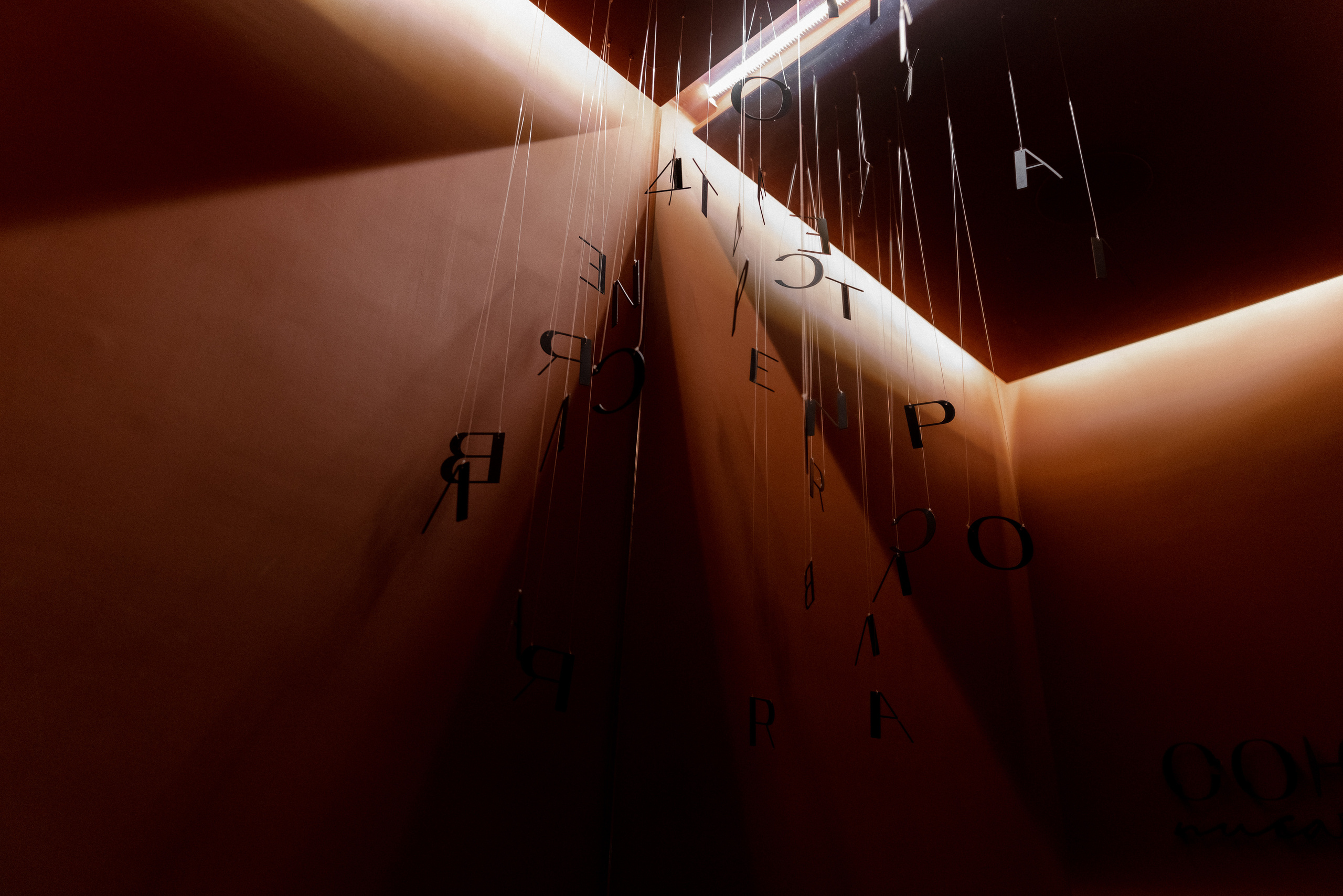 Под луной. Свадебный фотограф Ярославль, Рыбинск