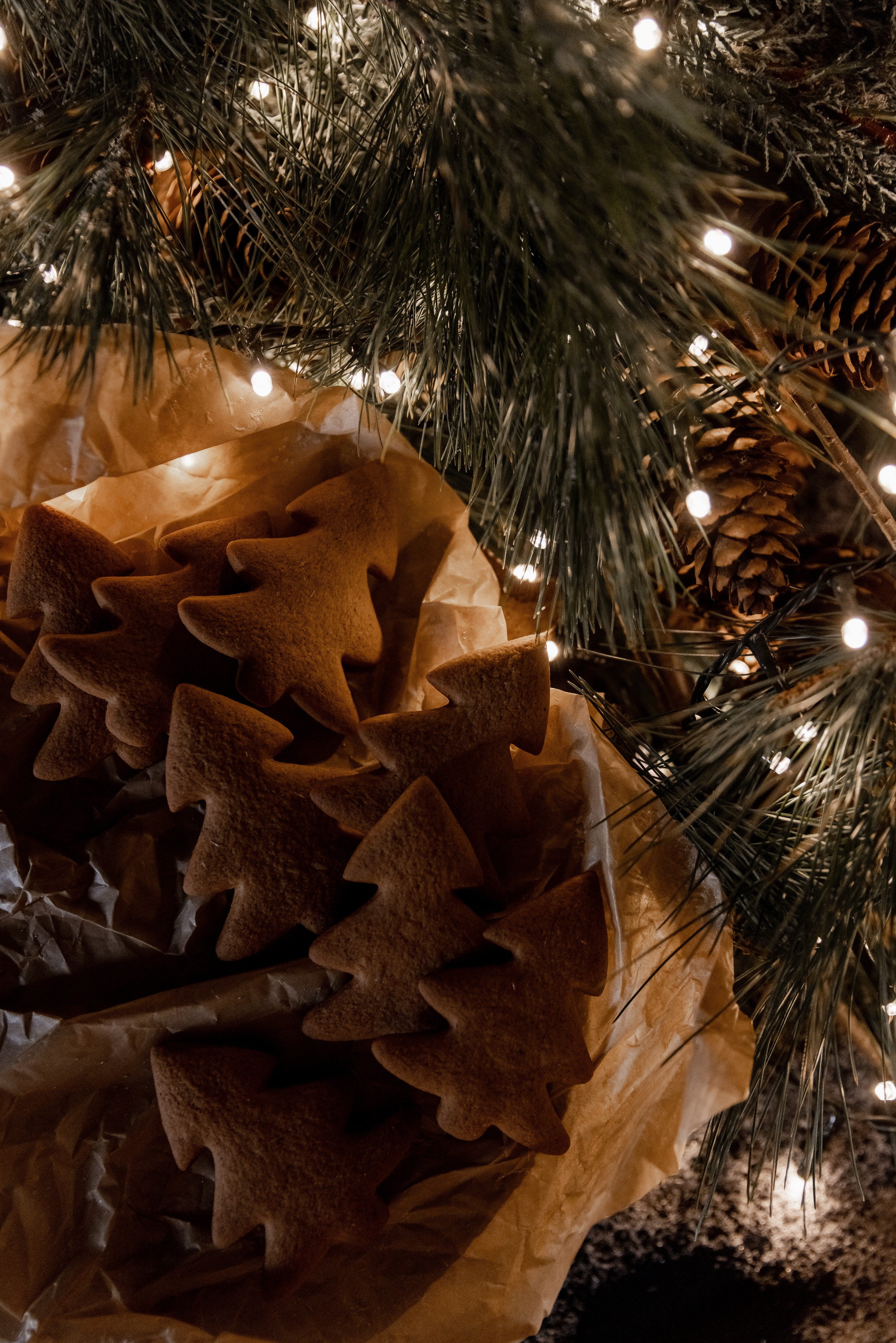 Под луной. Свадебный фотограф Ярославль, Рыбинск