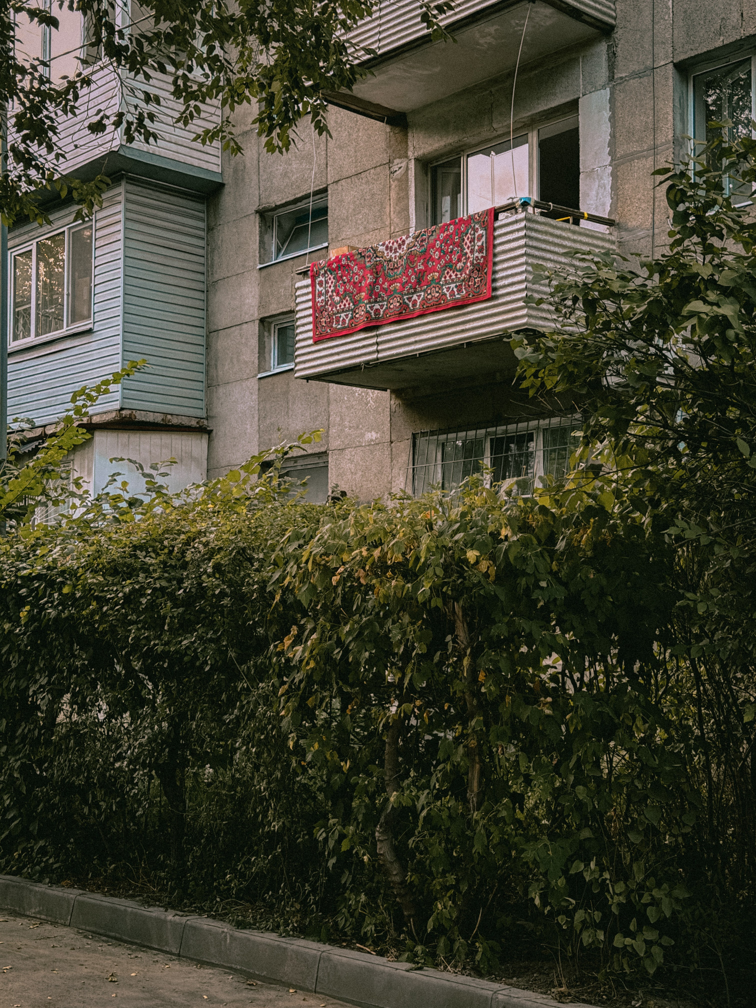 Визуальный дневник. Репортажный фотограф в Алматы Цой Сергей