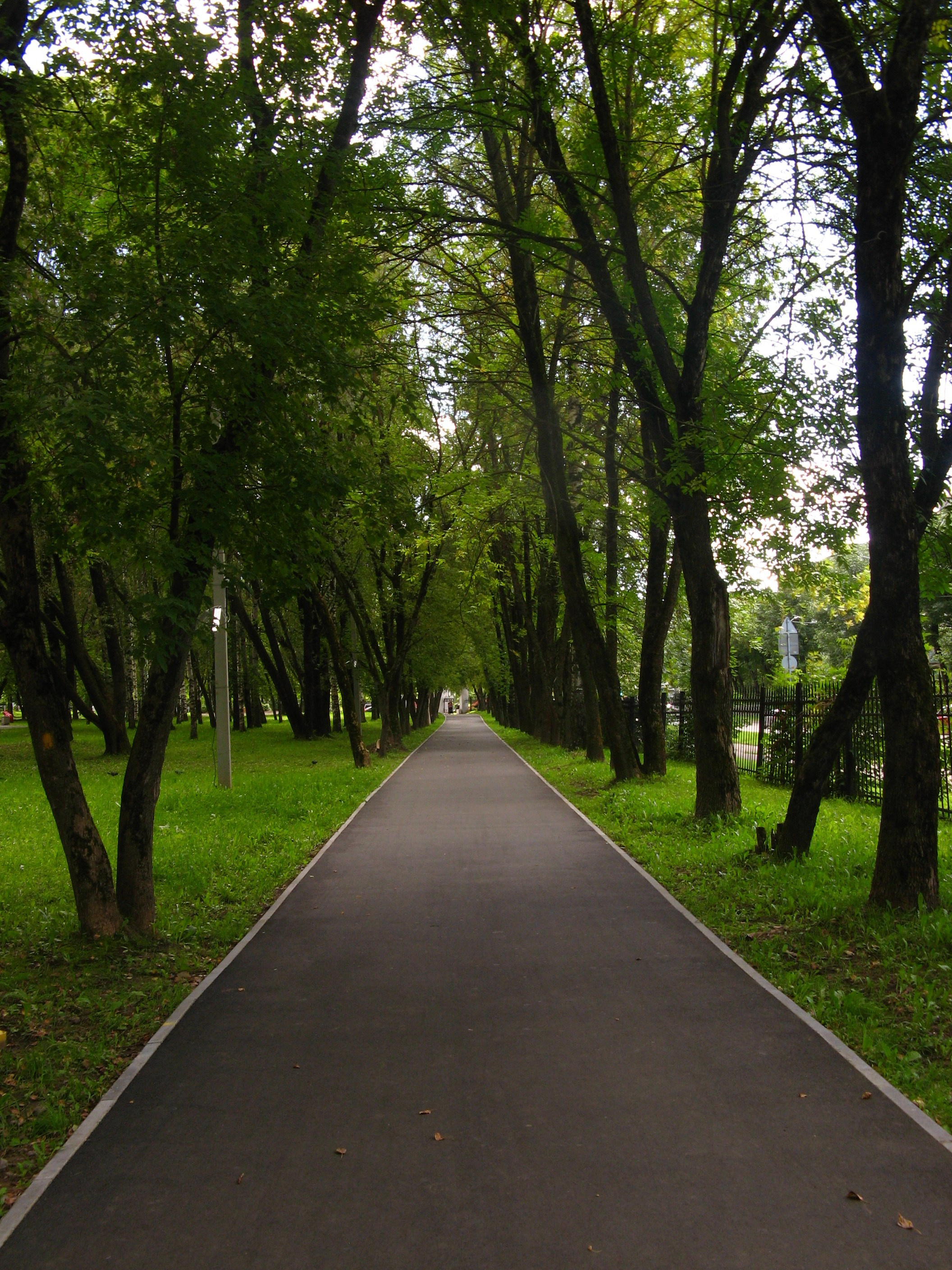 Сентябрь 2025. Den Mirov — Фотограф, Музыкант