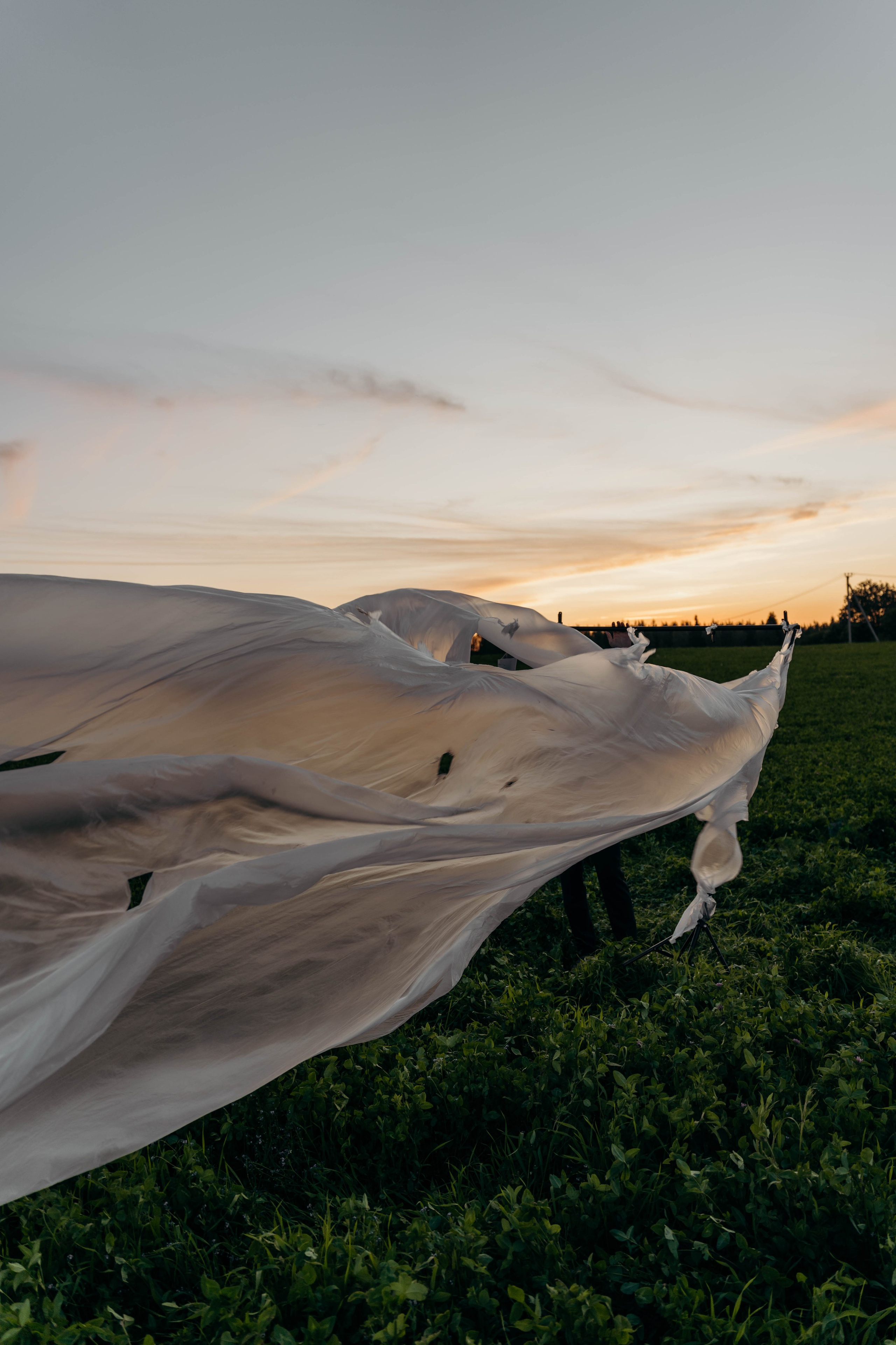 Творчество. Семейный и портретный фотограф во Владимире и Суздале