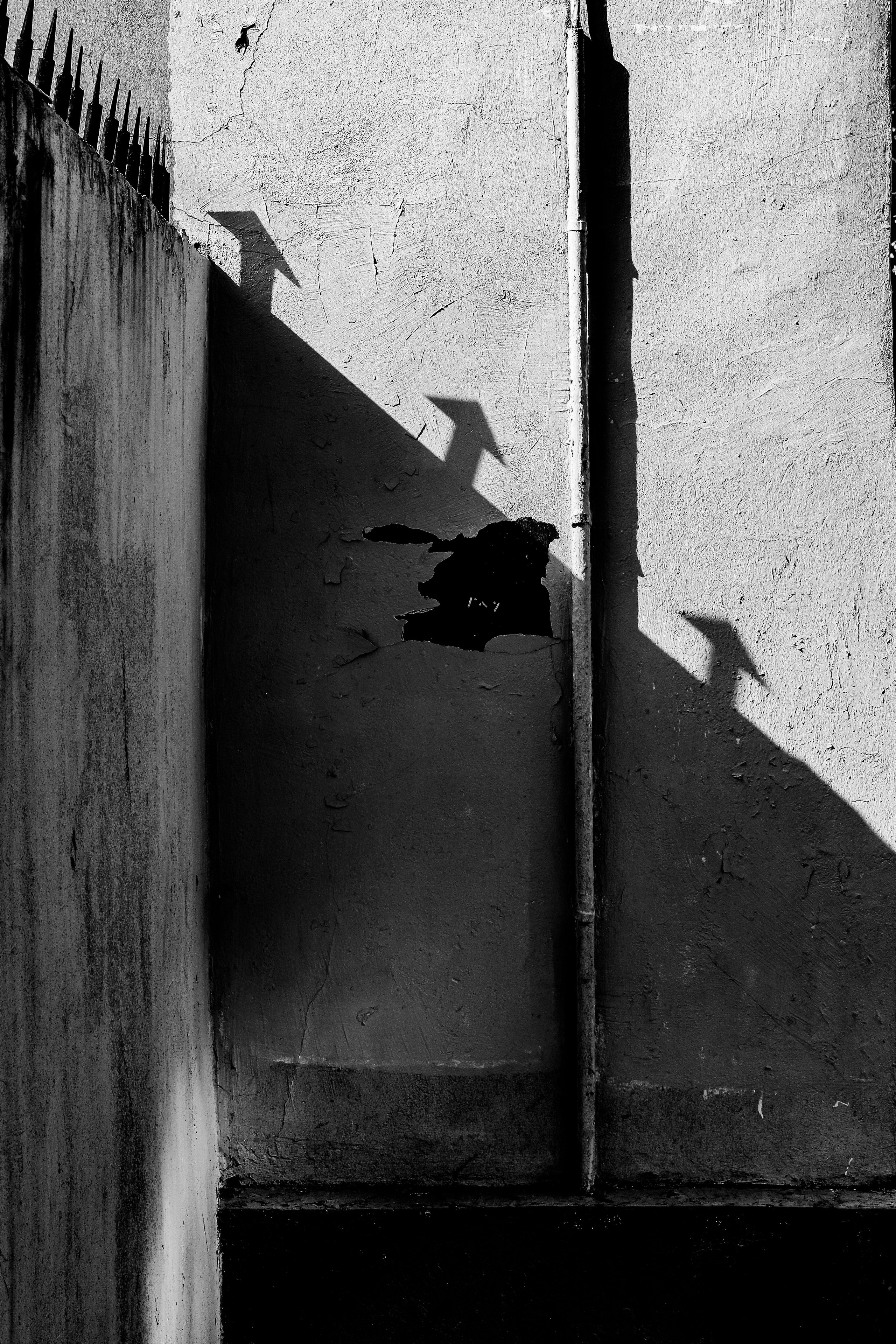 II. Стас Привалов