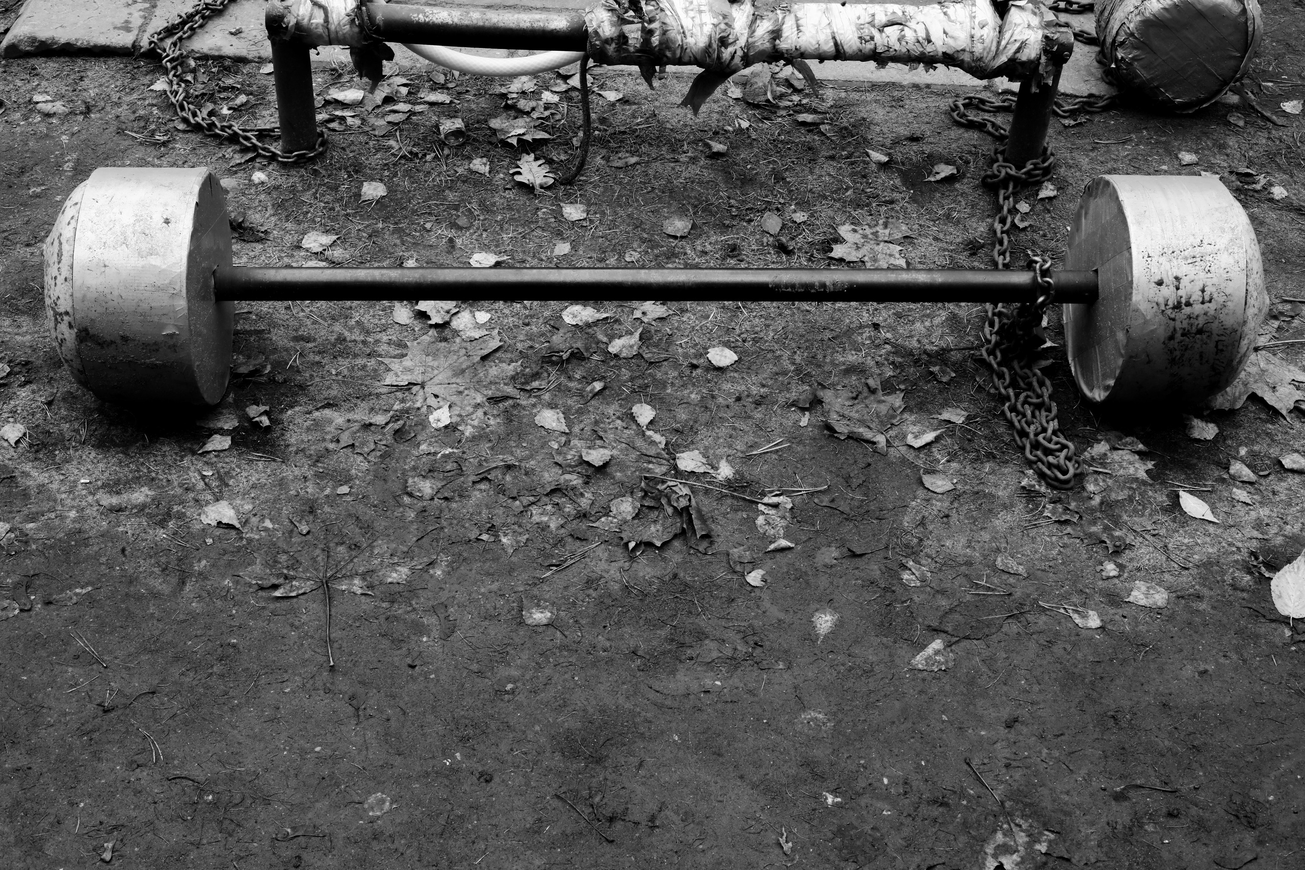 Качалка в лесу — 2022. Стас Привалов