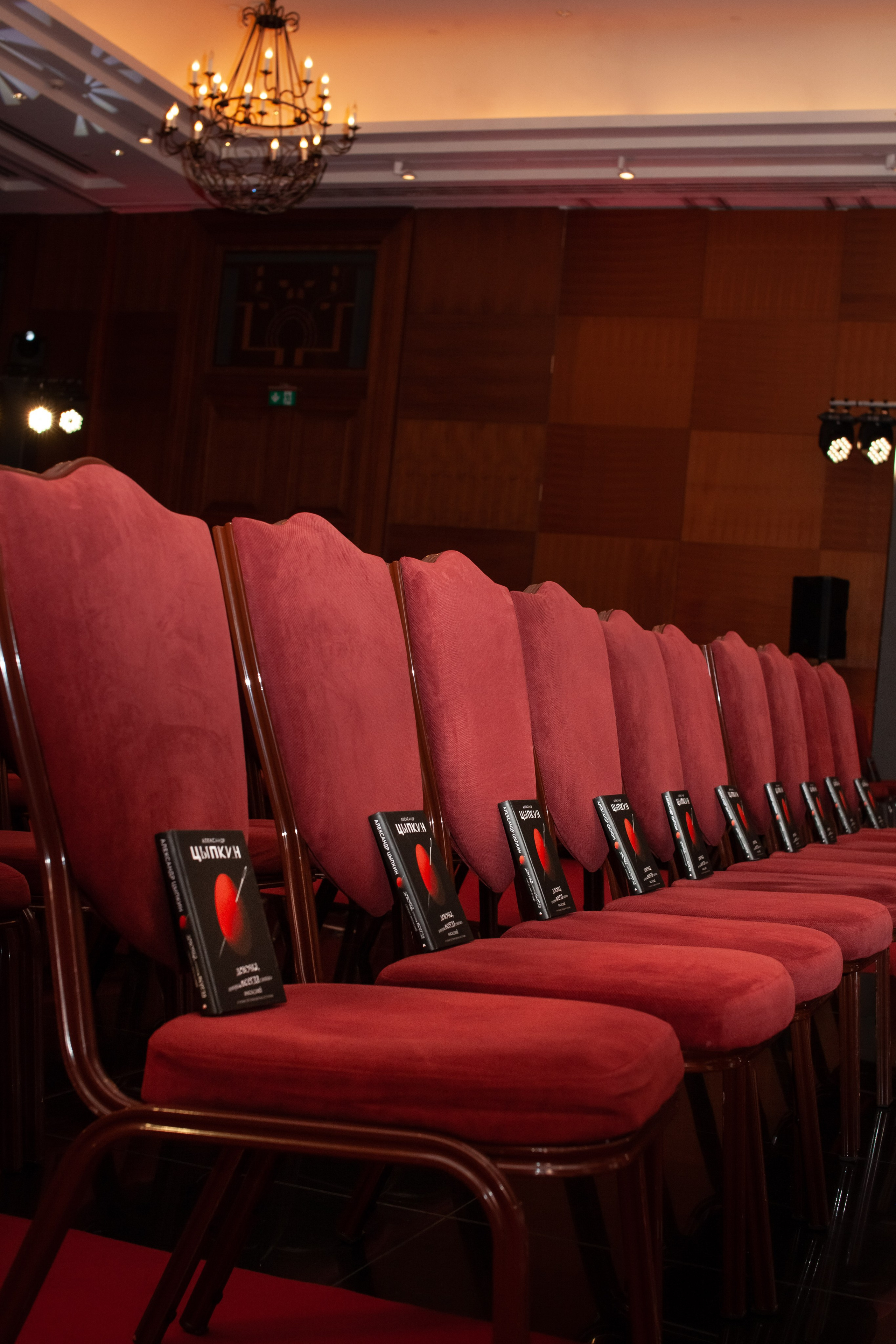 Александр Цыпкин — Лекция-тренинг. Двойняшки-фотографы Анна и Анастасия в Санкт-Петербурге