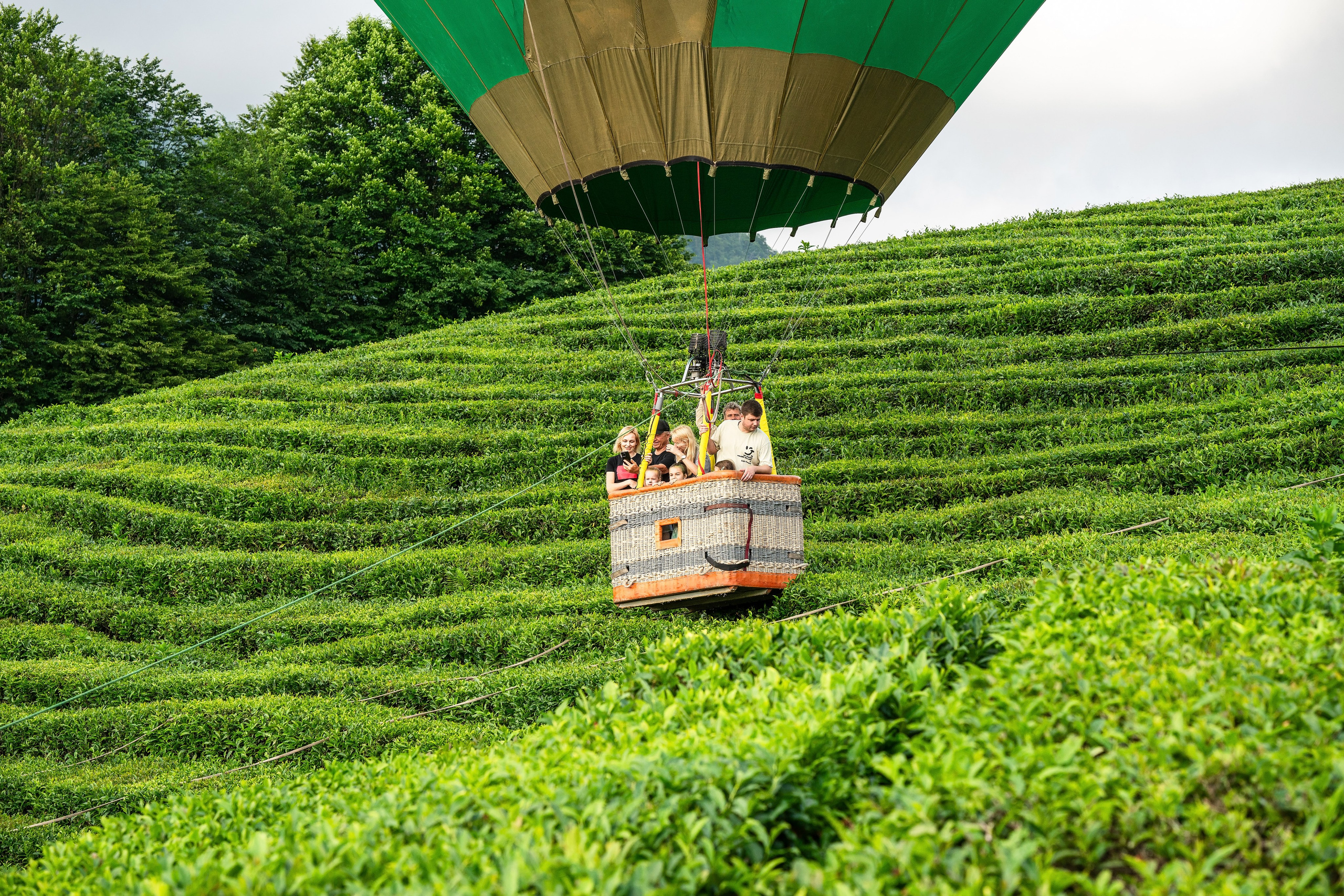 Фотограф на праздник Сочи. Фотограф Сочи