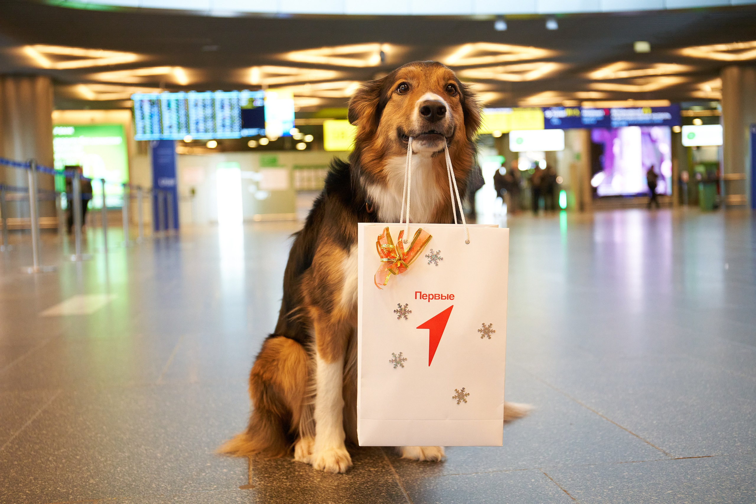 Фотограф Репортажа в Москве. Fokysphoto