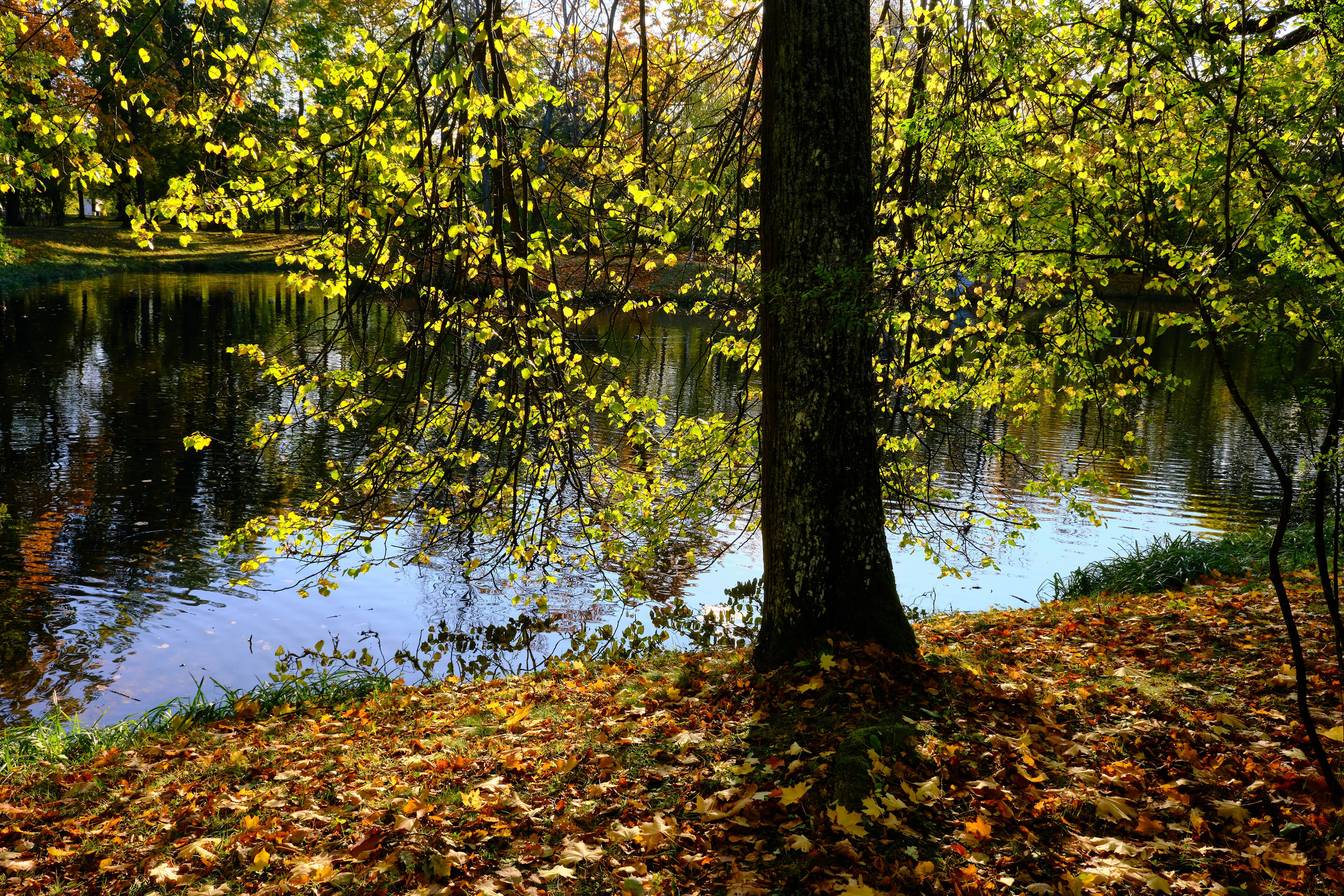 Времена года. Пейзажи Крайнего Севера. Баренцево море, Рыбачий, Средний, Немецкий